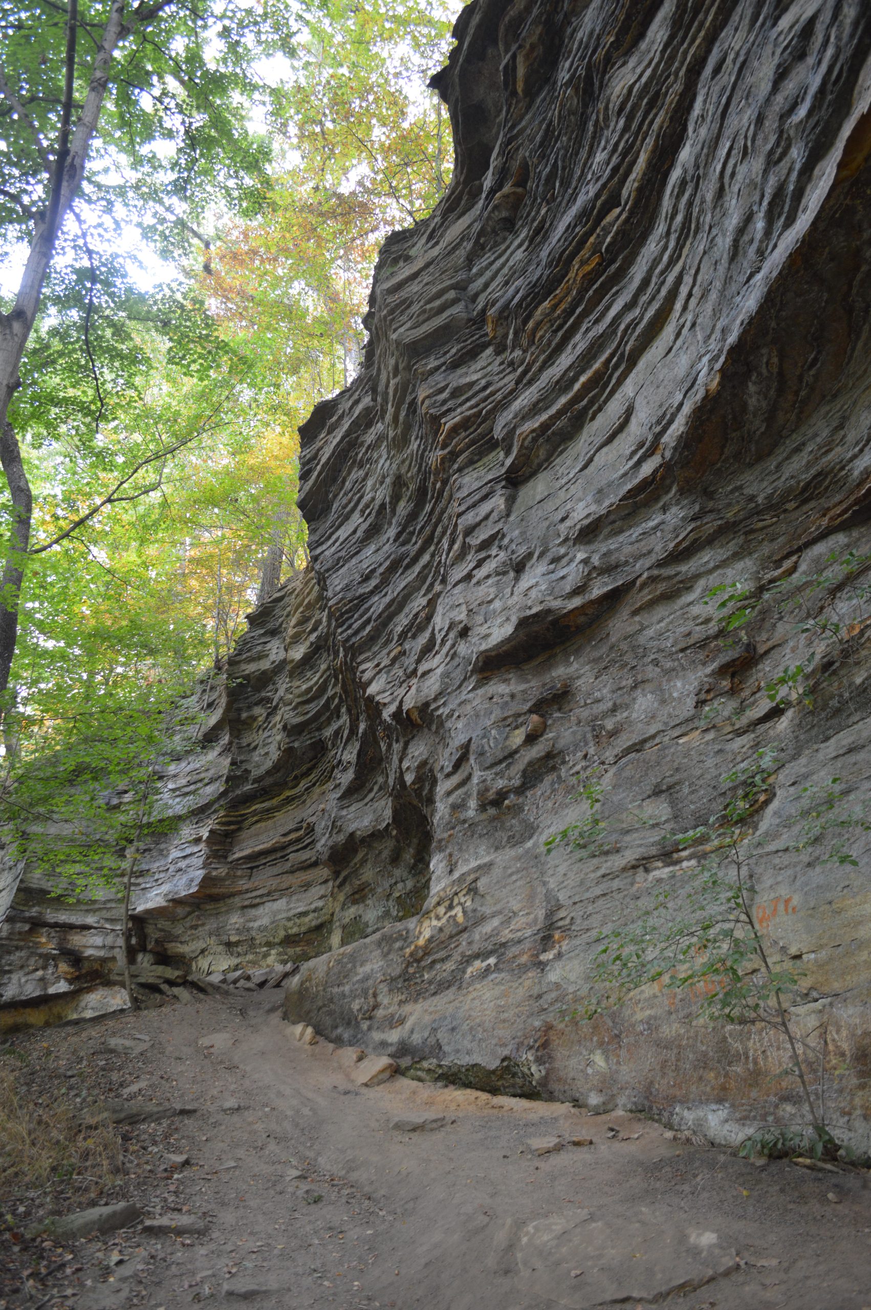 Turkey Run State Park Nearby Hotels