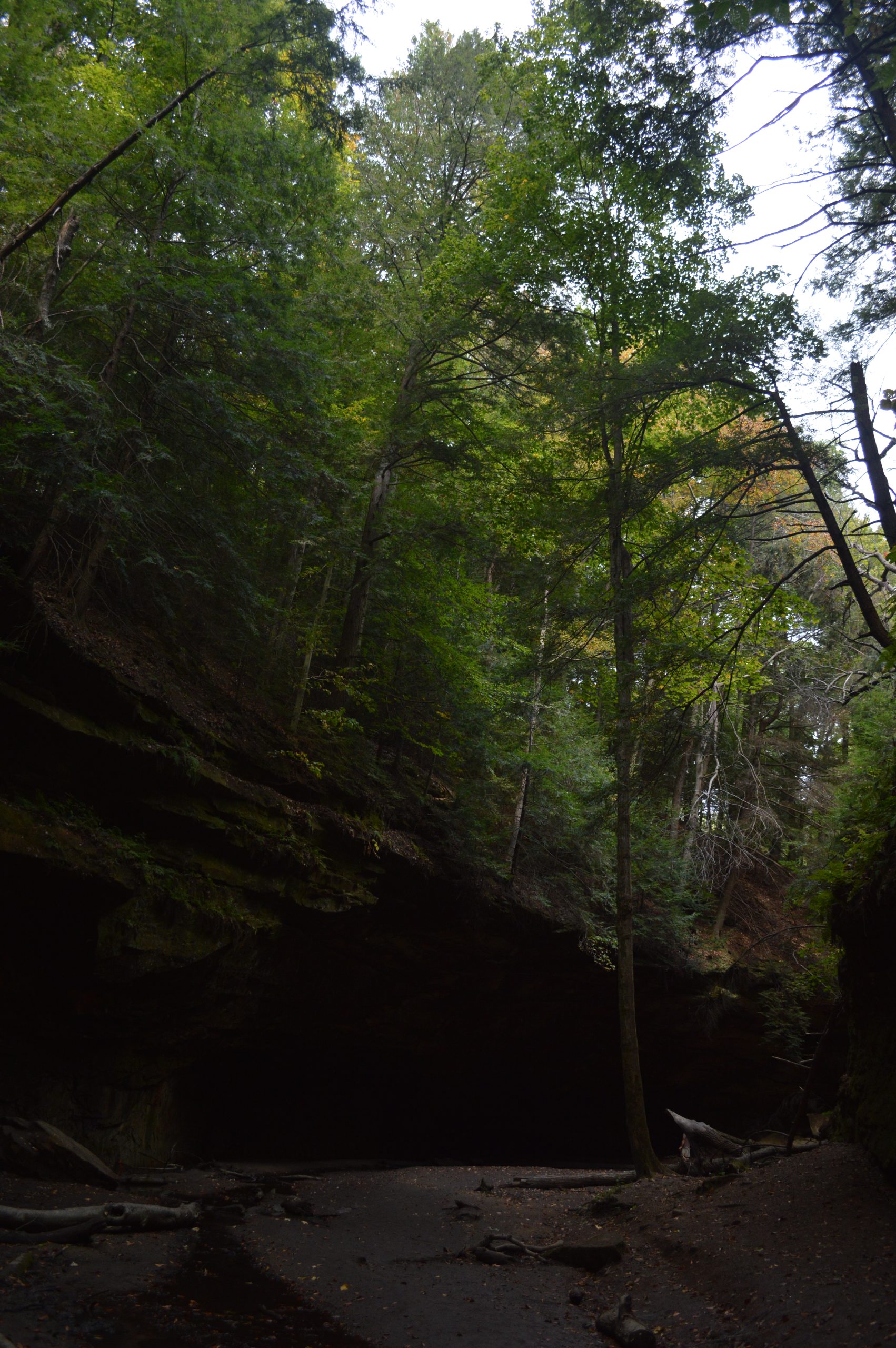 Turkey Run State Park in the Spring