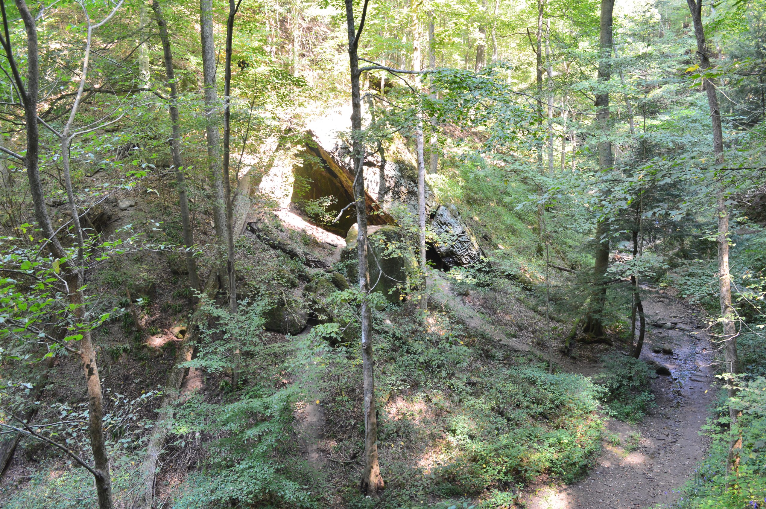 Go Karts Near Turkey Run State Park