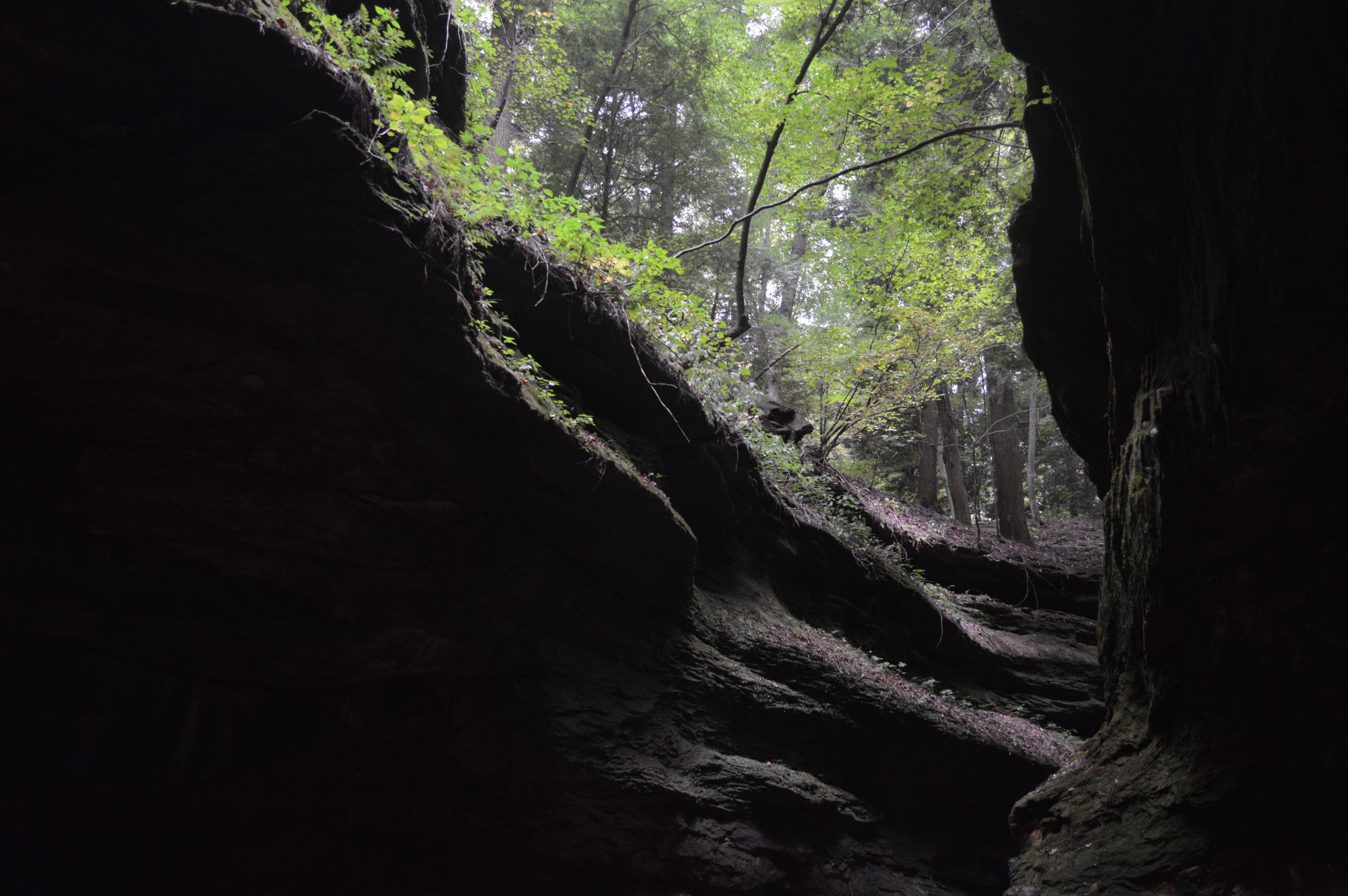 Turkey Run State Park Hikes