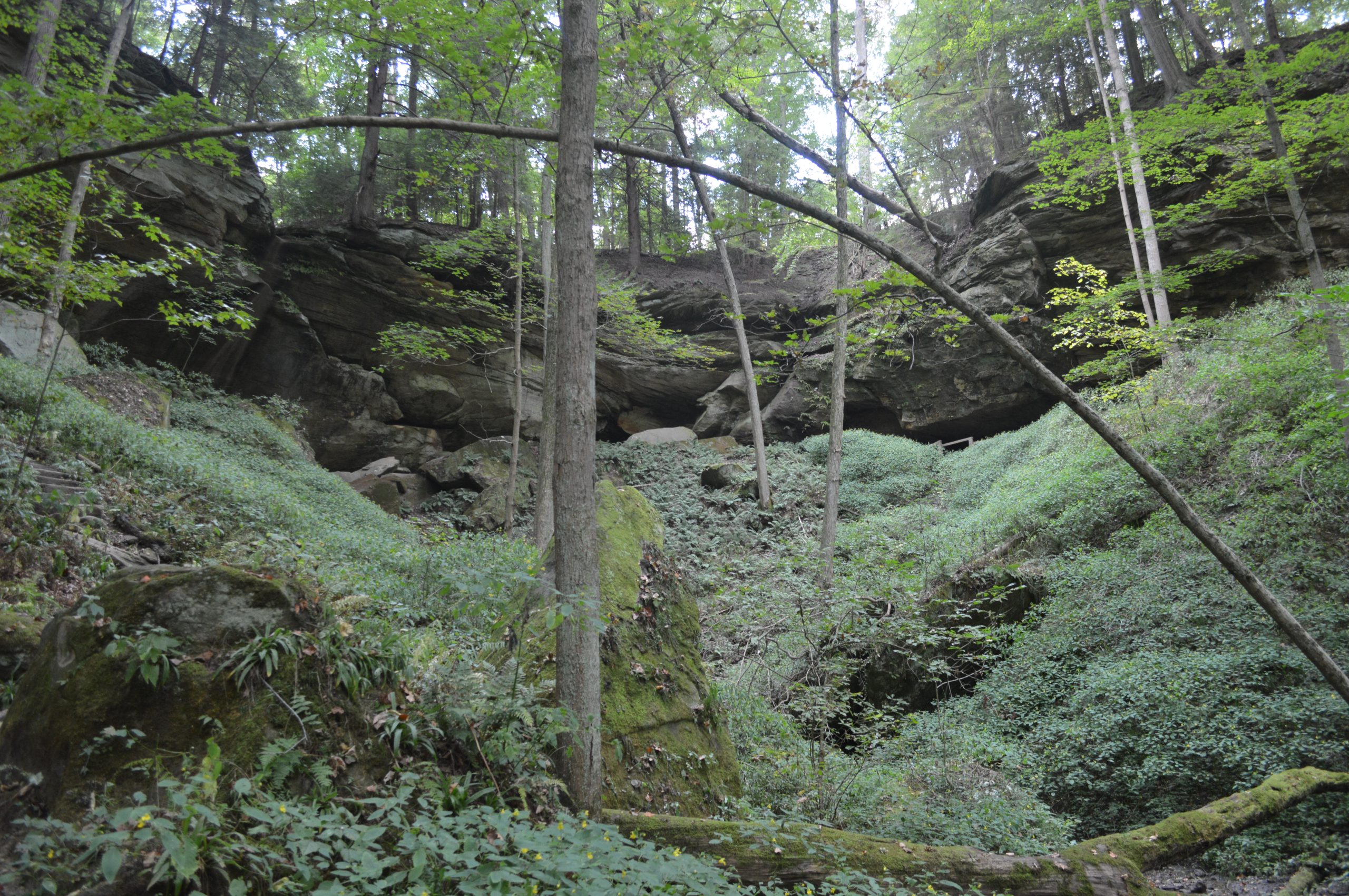 Turkey Run State Park Picnic and Camping