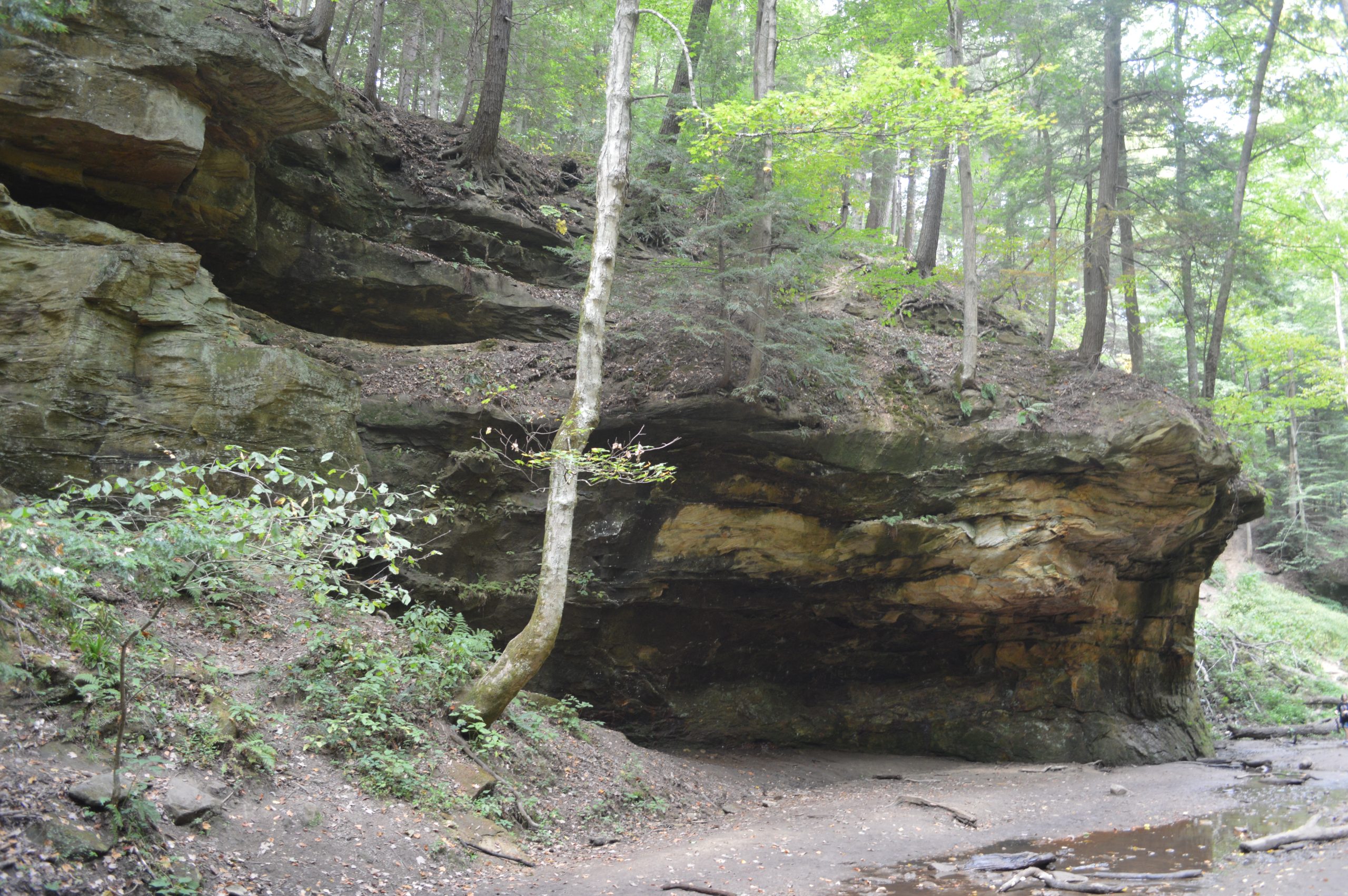 Turkey Run State Park Sunset Point