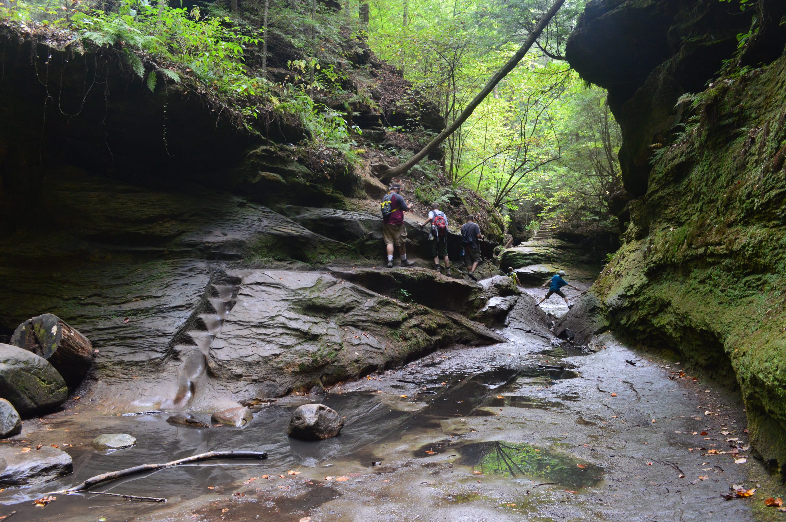 Hotels Close to Turkey Run State Park