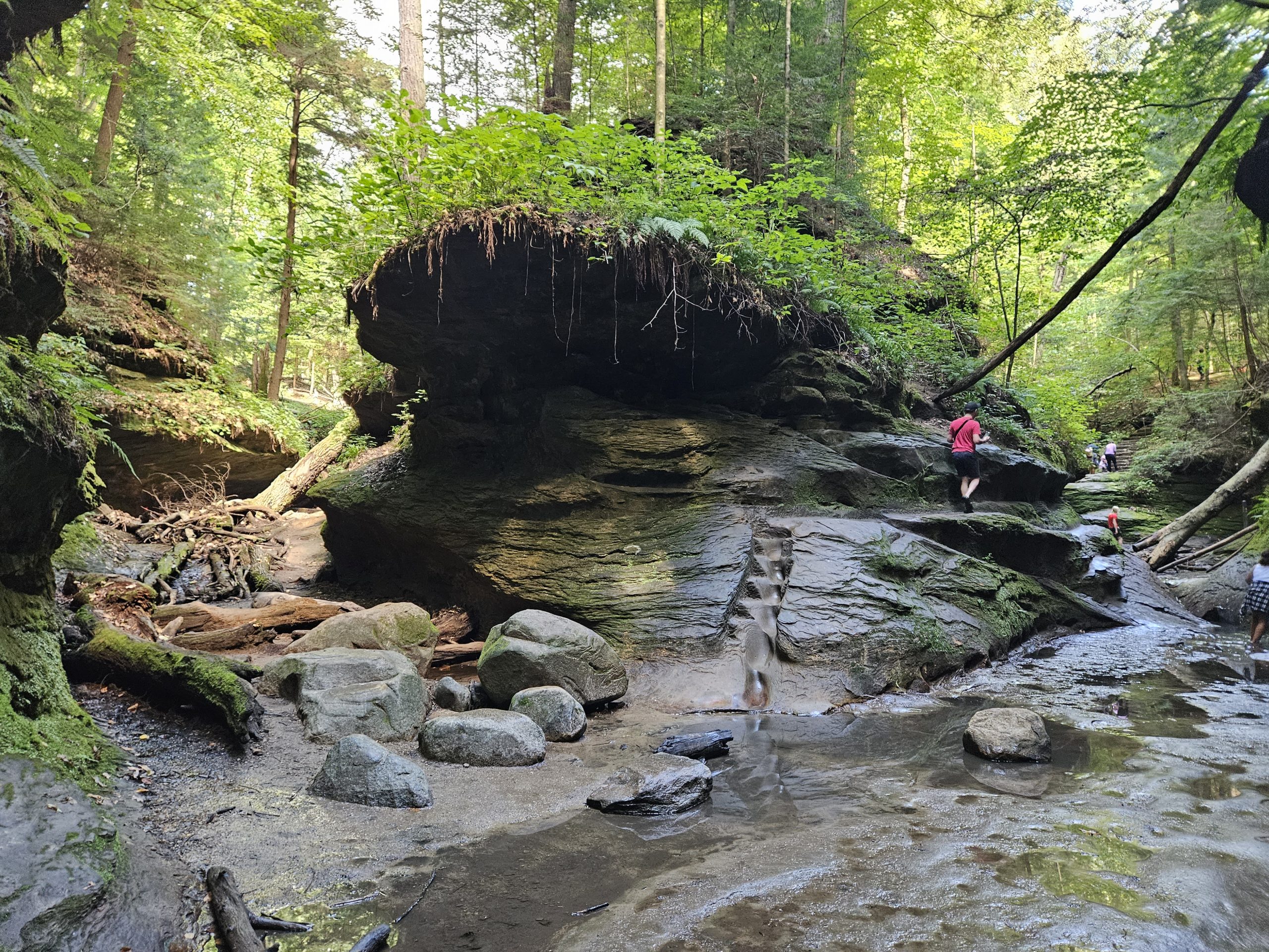 Places to Eat Near Turkey Run State Park