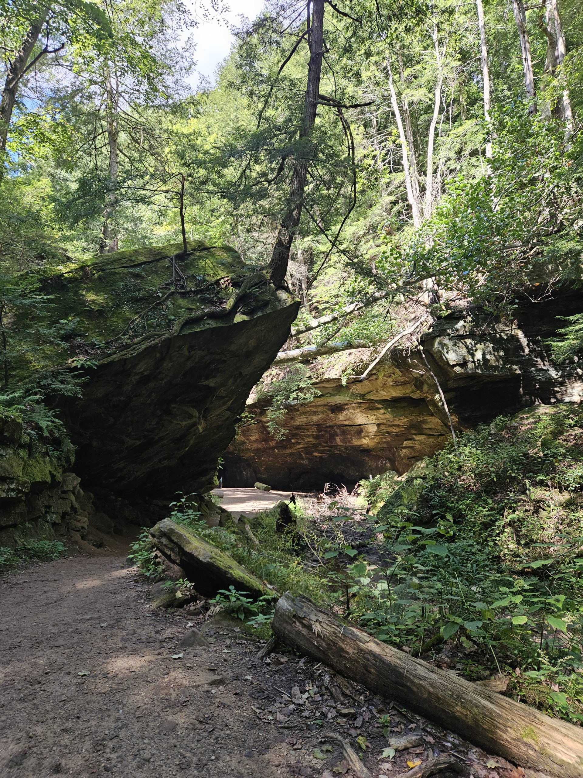 Turkey Run State Park With Kids