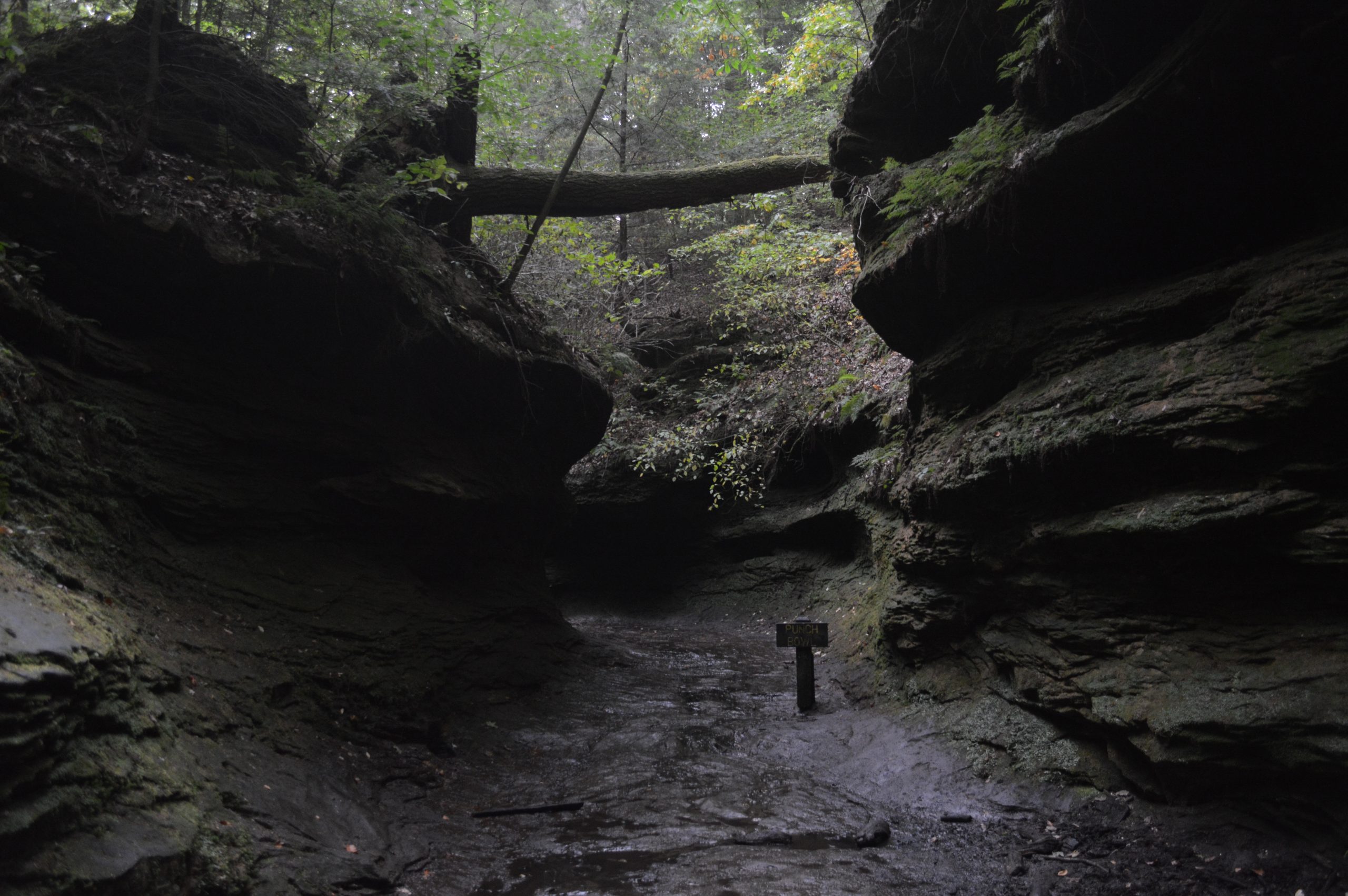 Turkey Run State Park in Fall