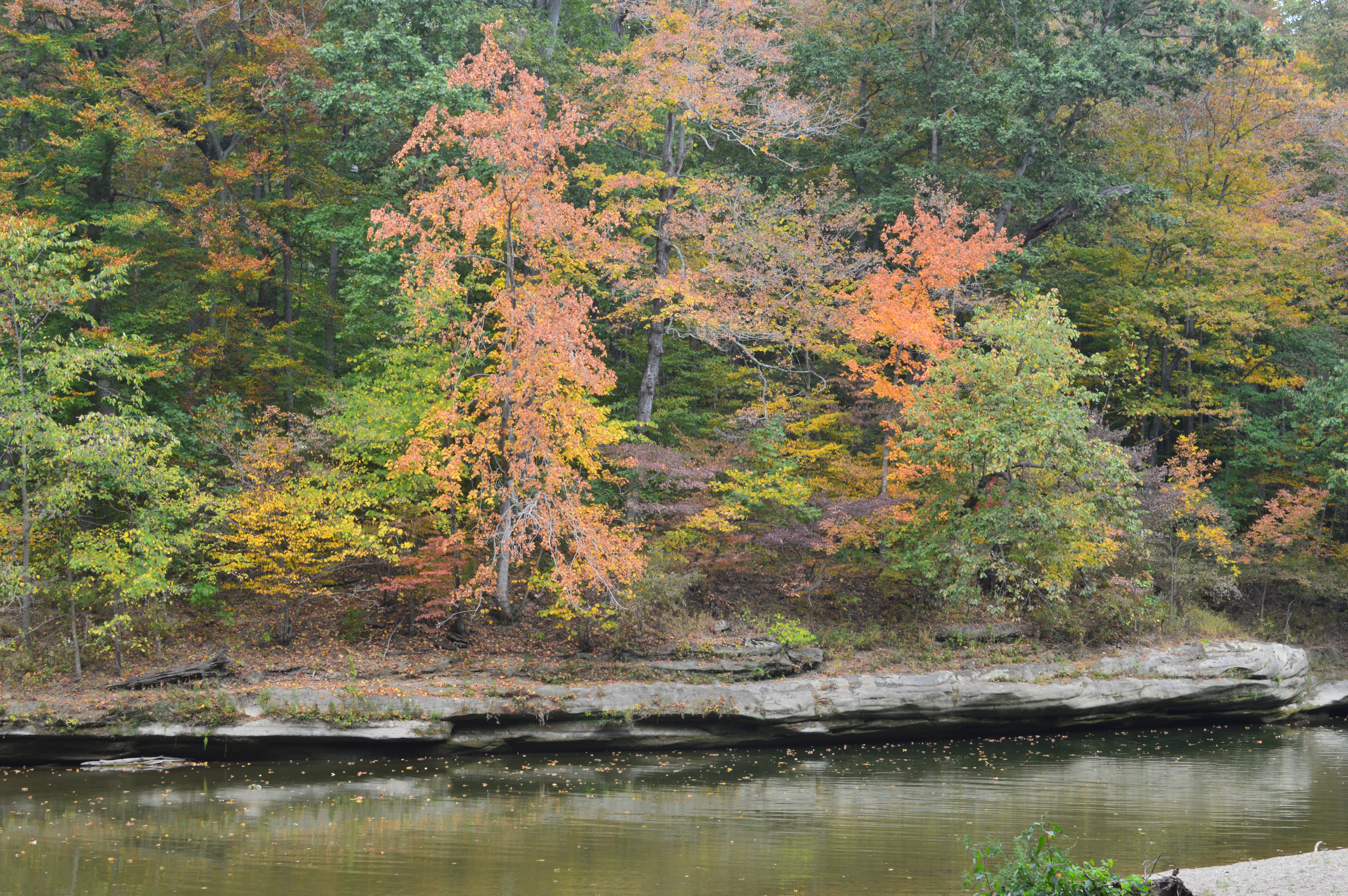 Turkey Run State Park Park Road Marshall