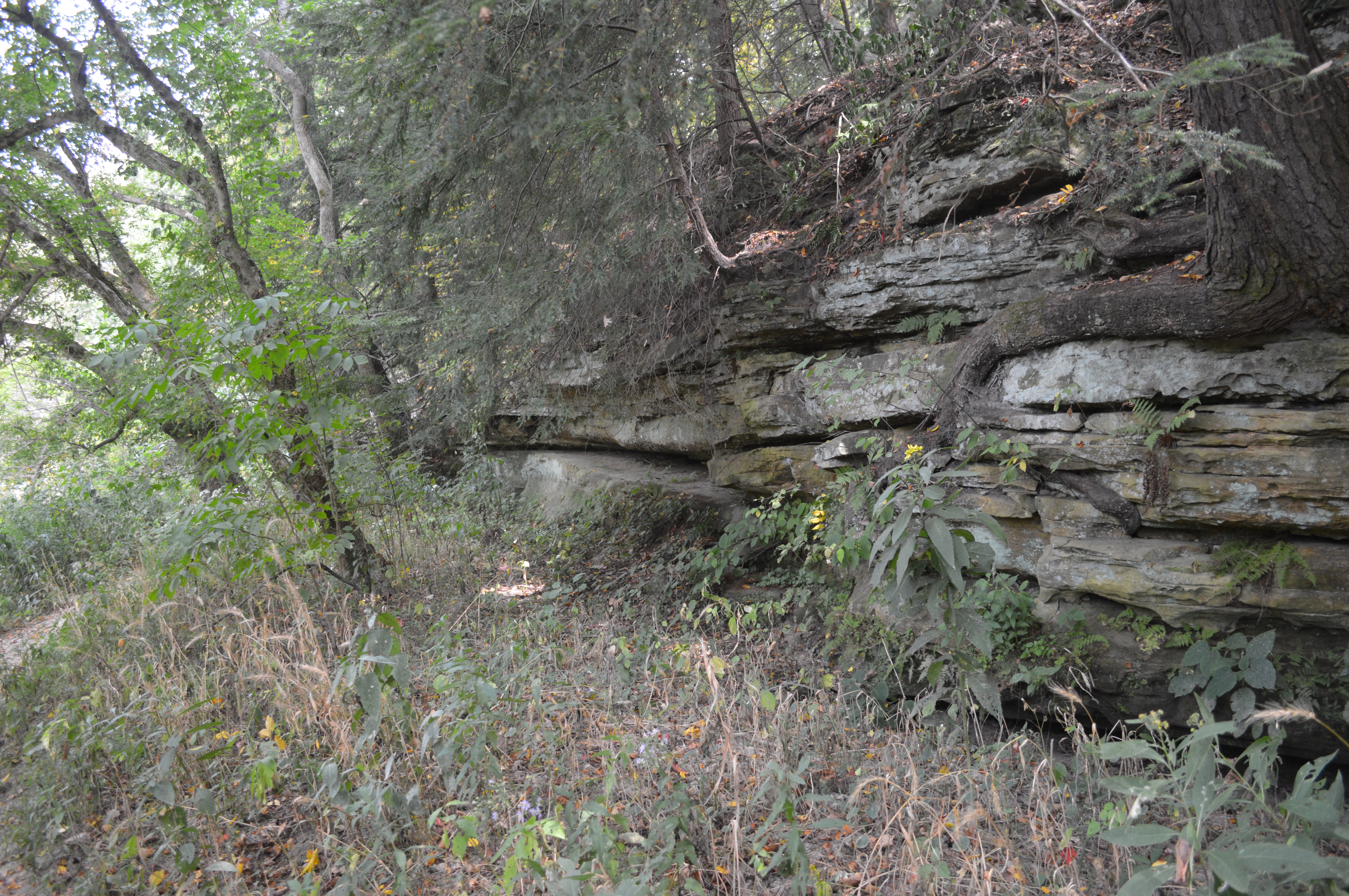 Is Turkey Run State Park Open