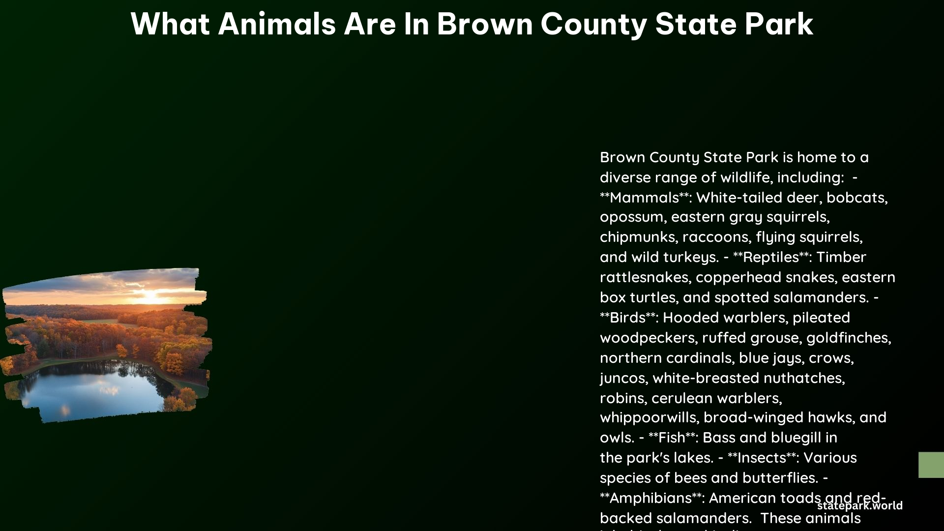 What Animals Are in Brown County State Park