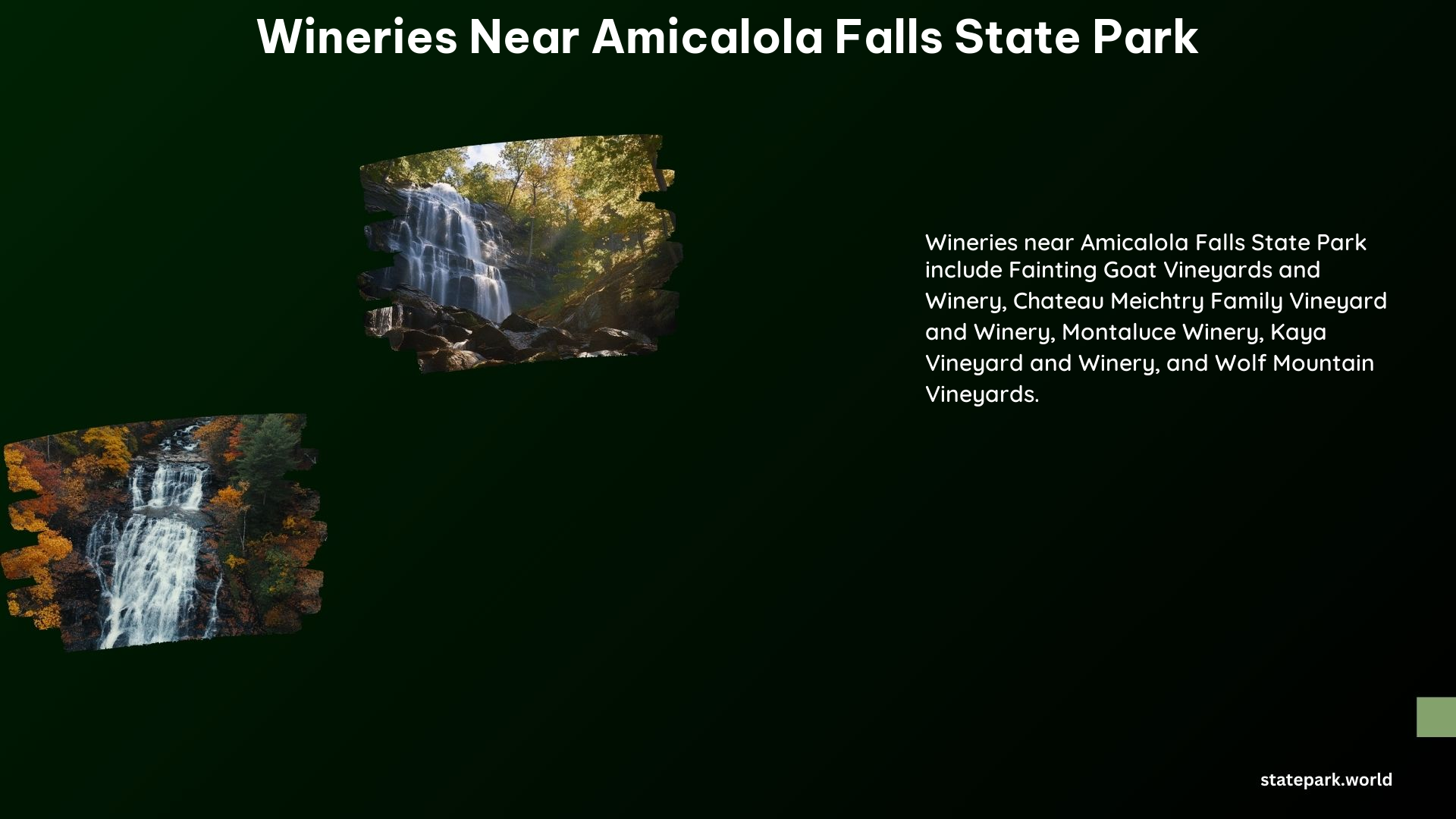 Wineries Near Amicalola Falls State Park