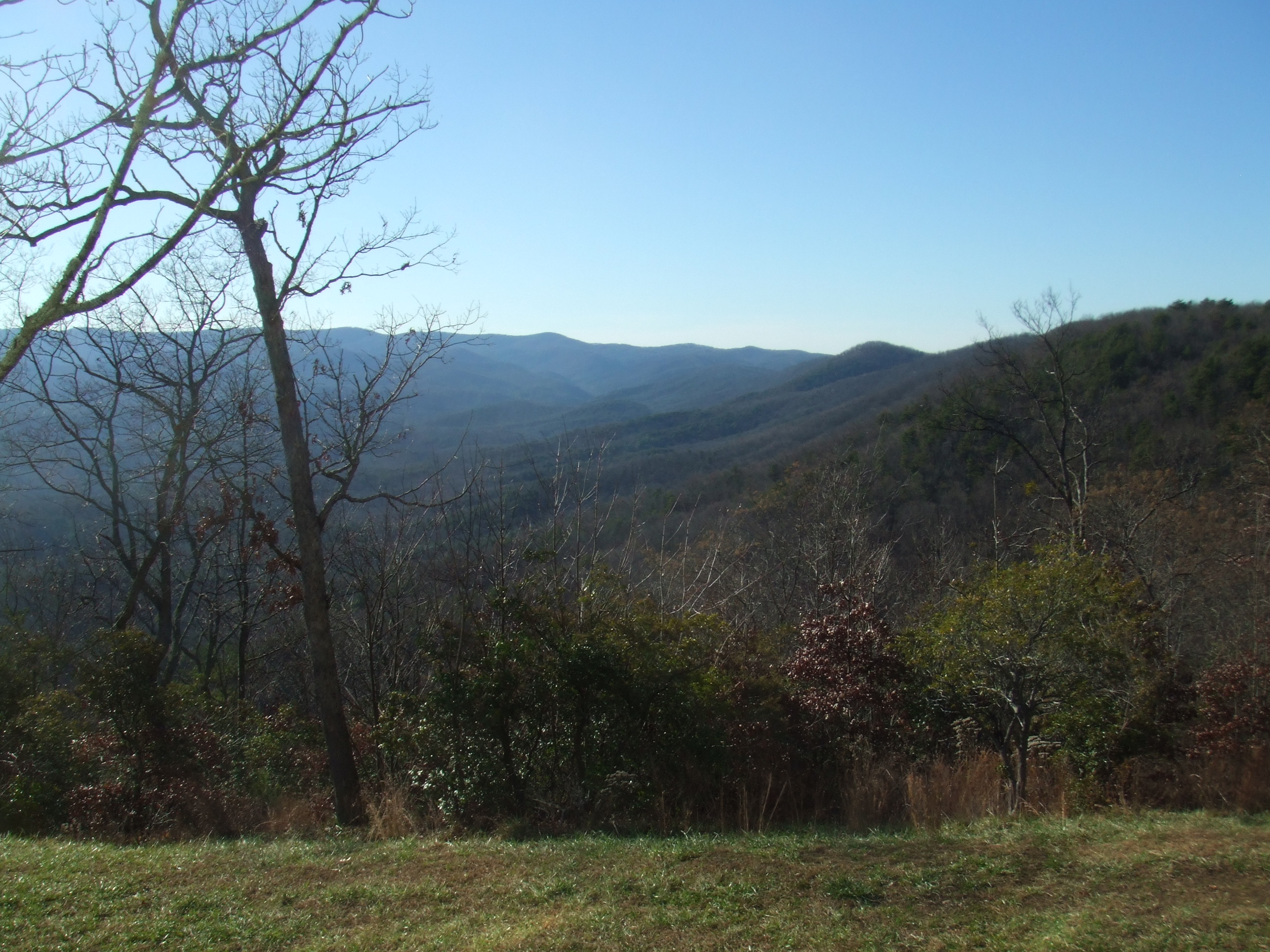 Amicalola Falls State Park RV Camping