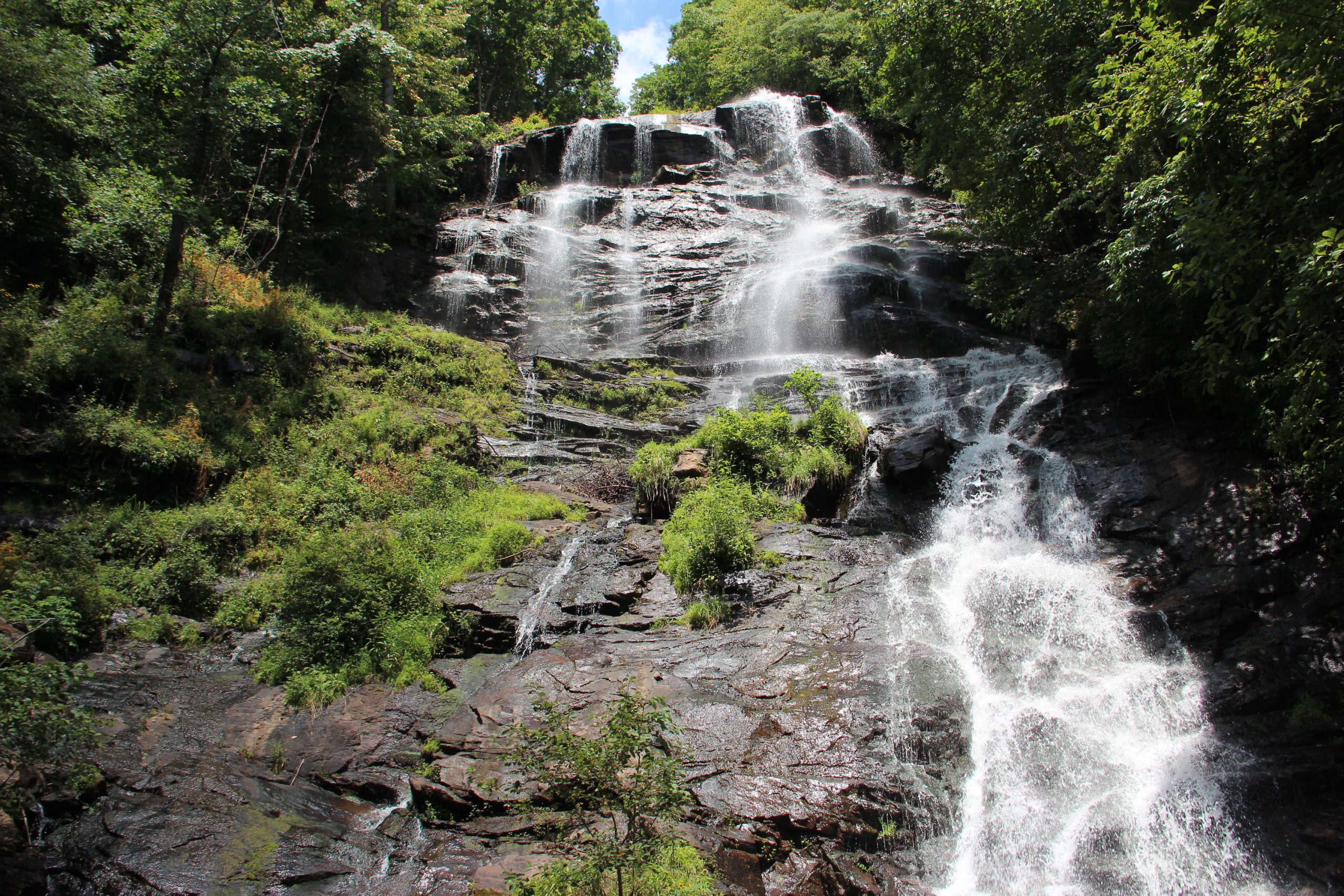 Amicalola Falls State Park to Springer Mountain