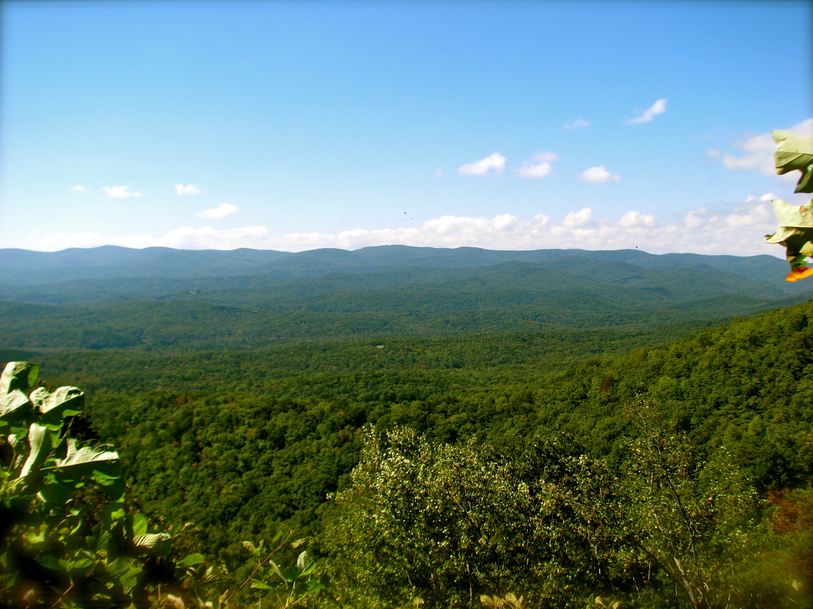 Atlanta Airport to Amicalola Falls State Park