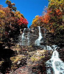 Amicalola Falls State Park Picnic Area