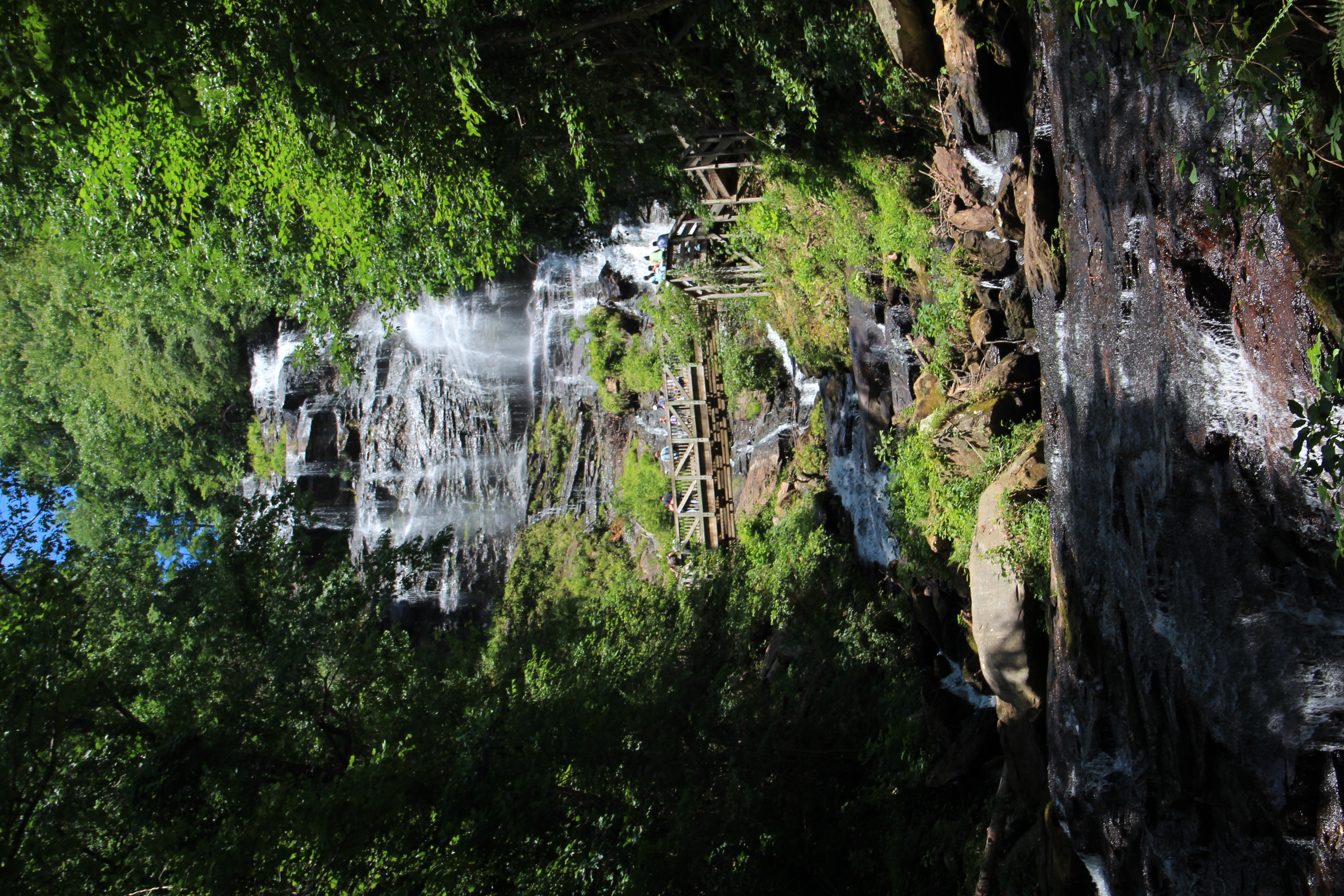 Amicalola Falls State Park Wedding