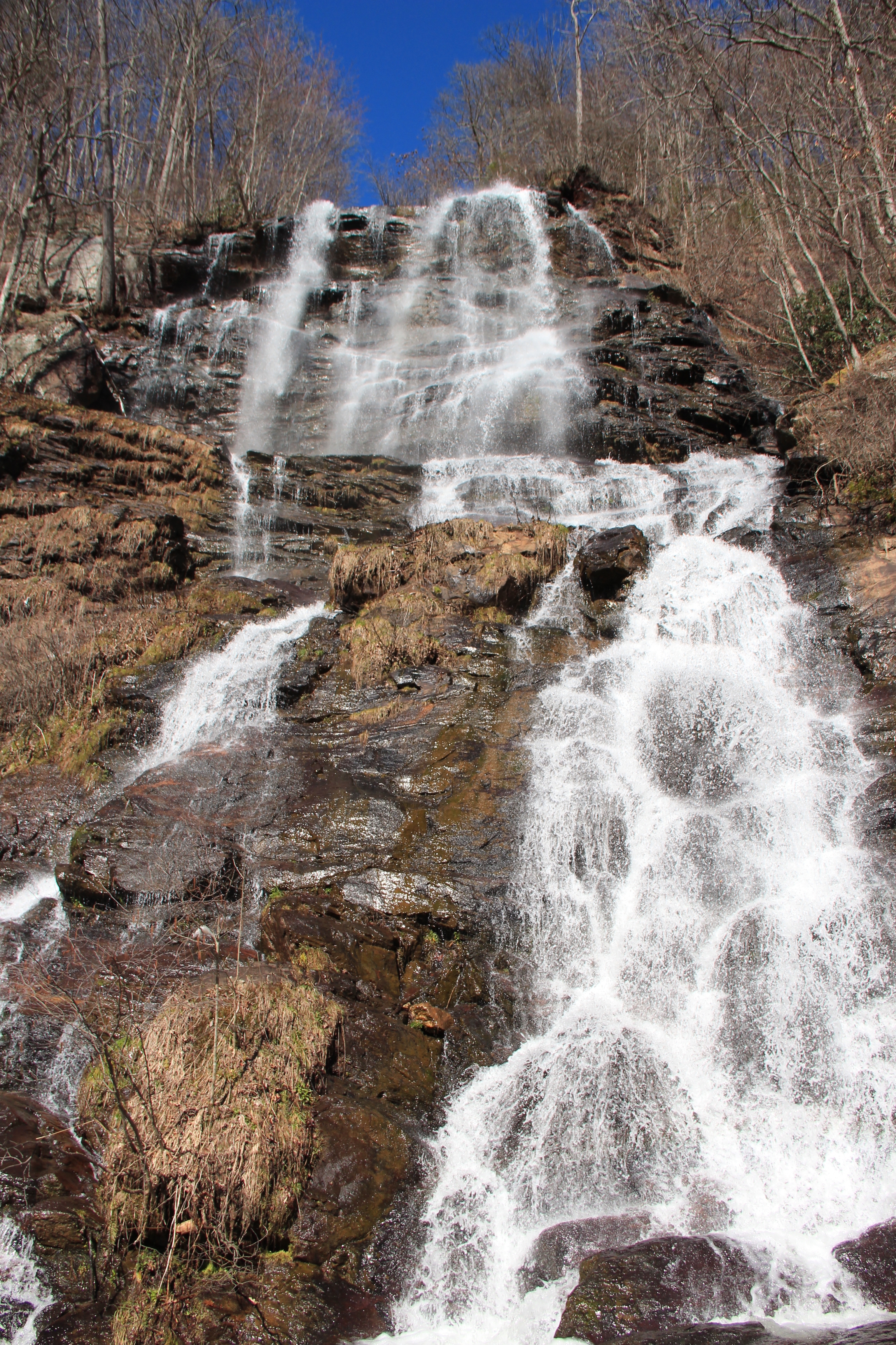 Amicalola Falls State Park Trails