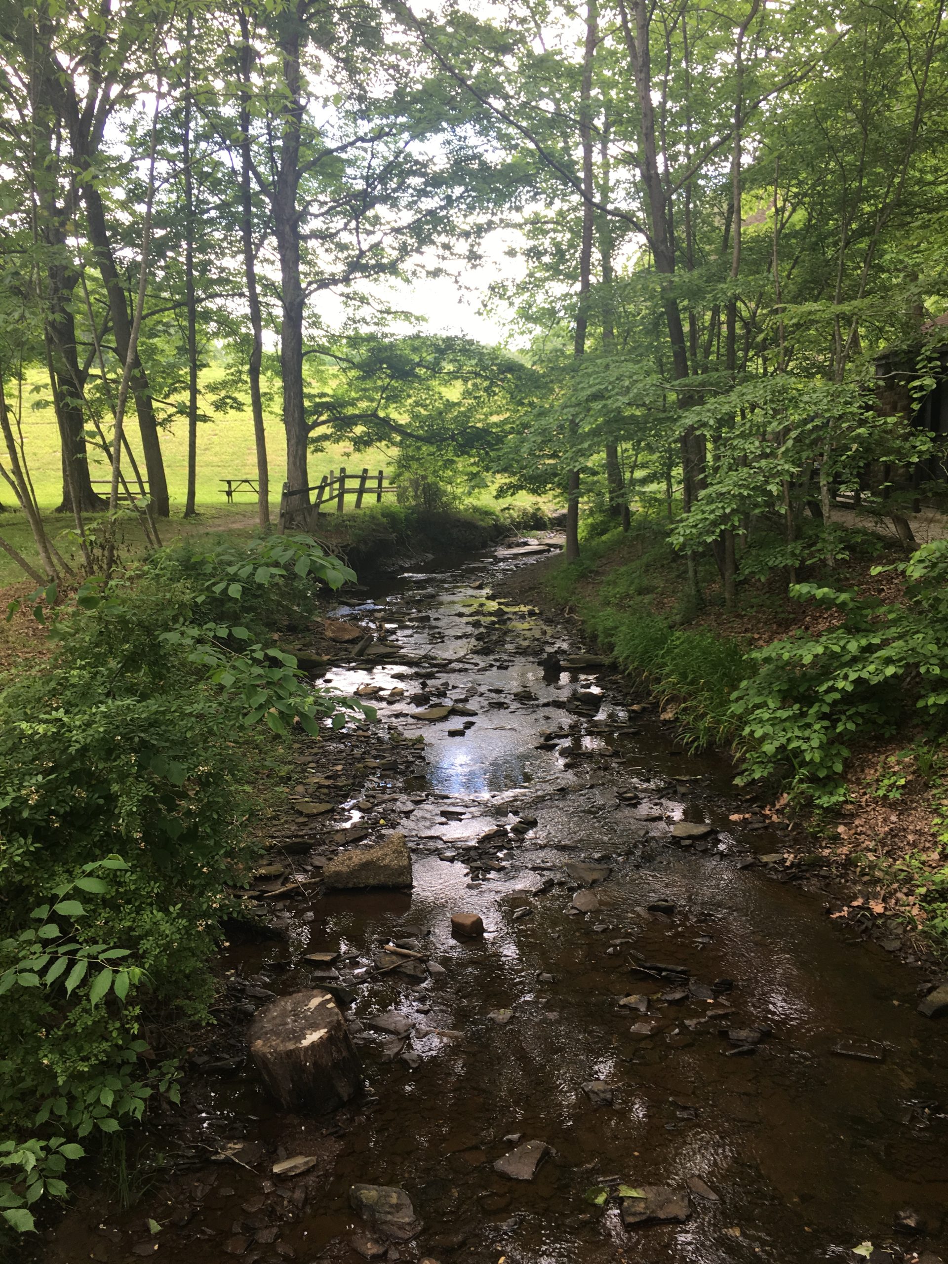 Brown County State Park Marriage