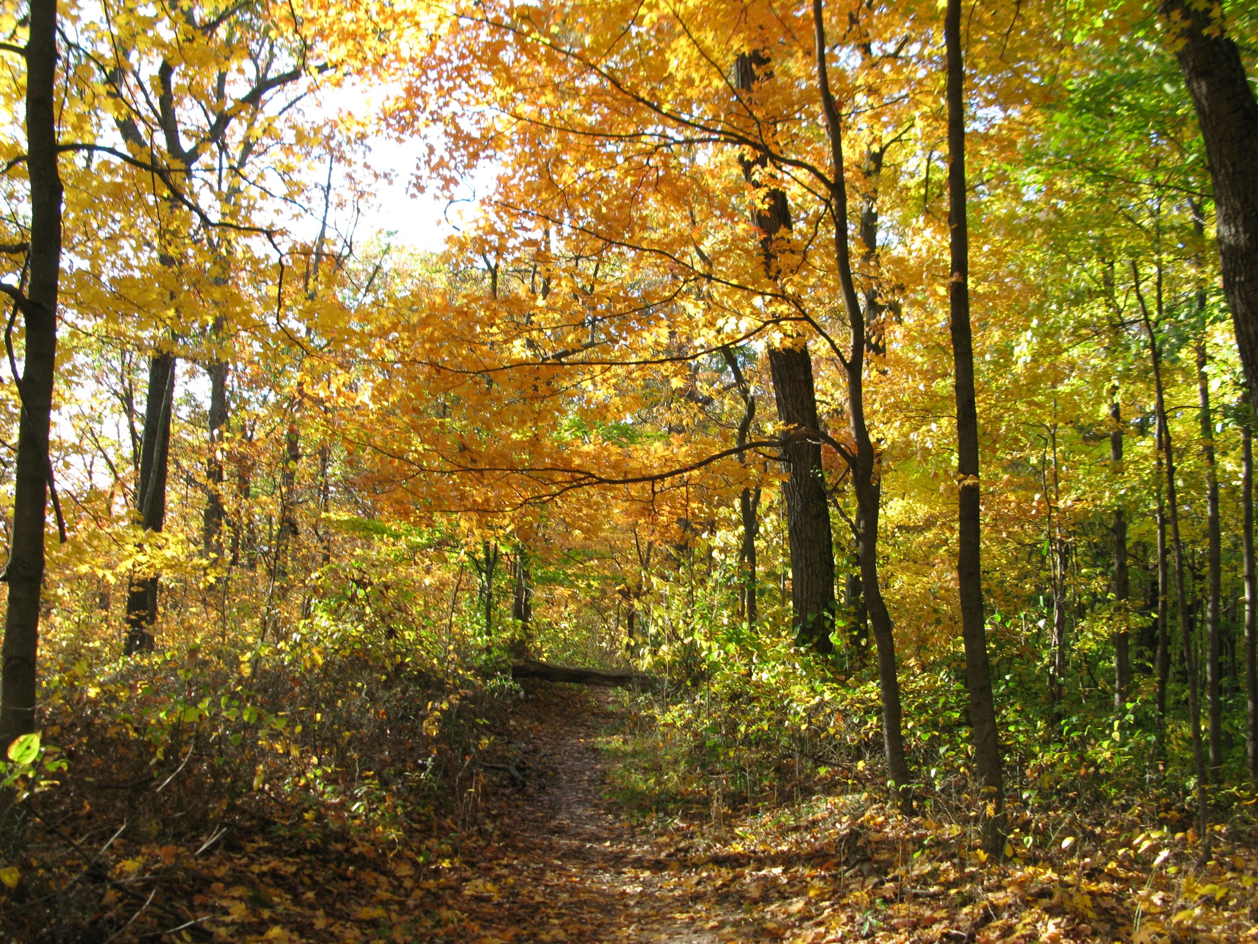 Brown County State Park Golf