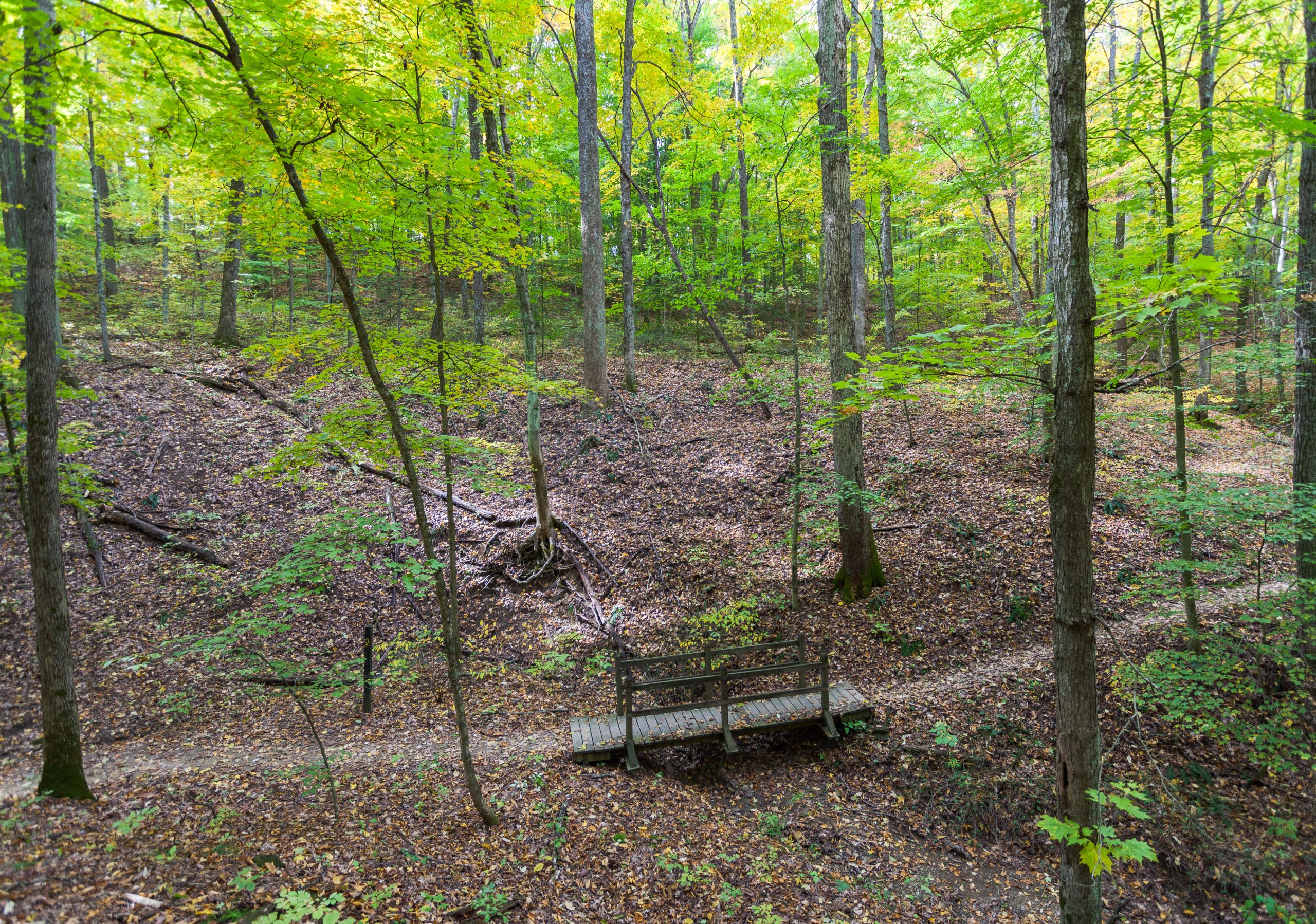 Brown County State Park in the Fall