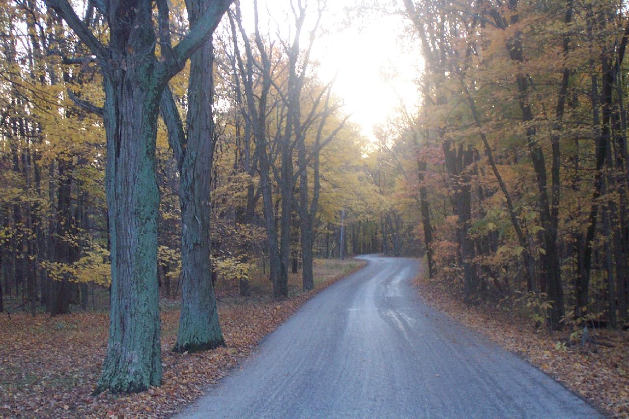 Cabins at Brown County State Park in Indiana