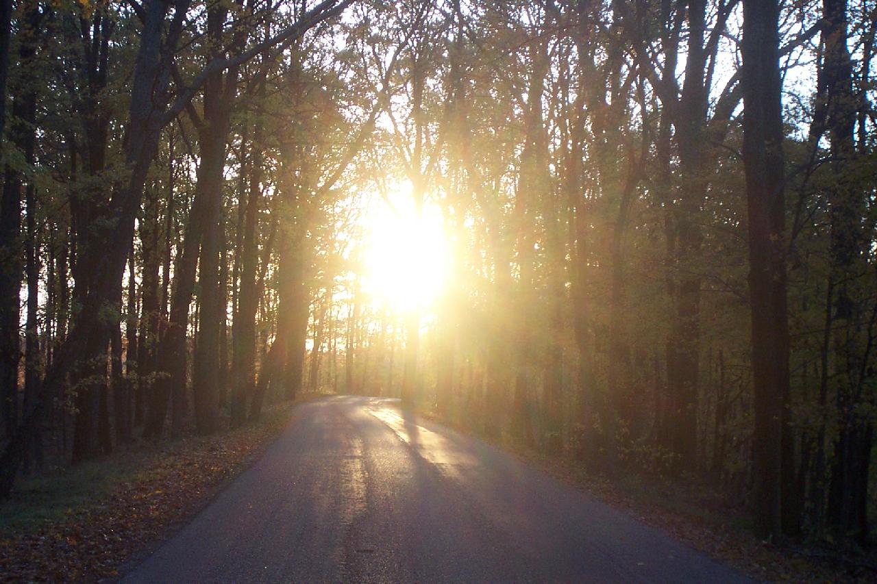 Brown County State Park Bike Trails