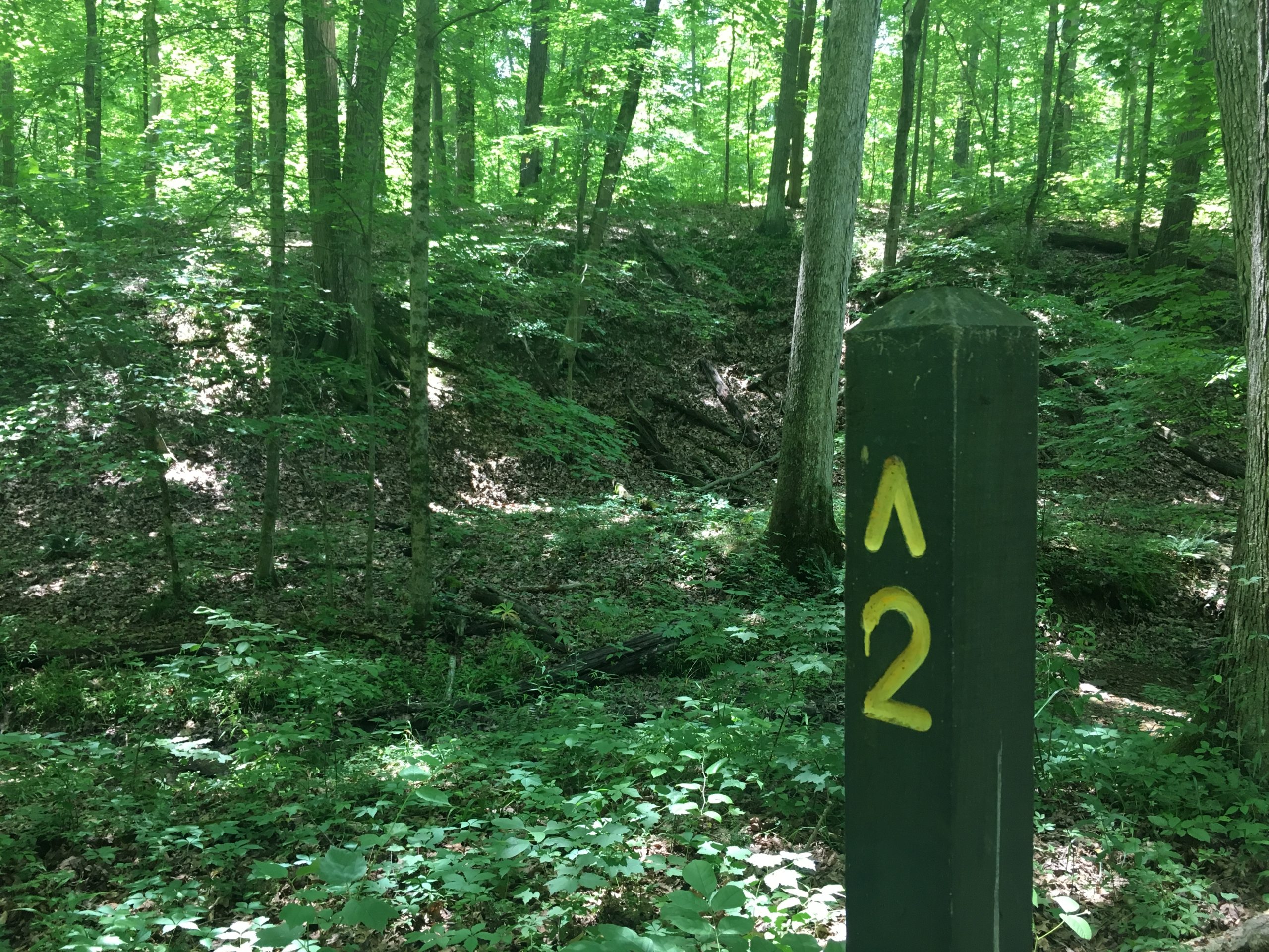 Brown County State Park Trail Status