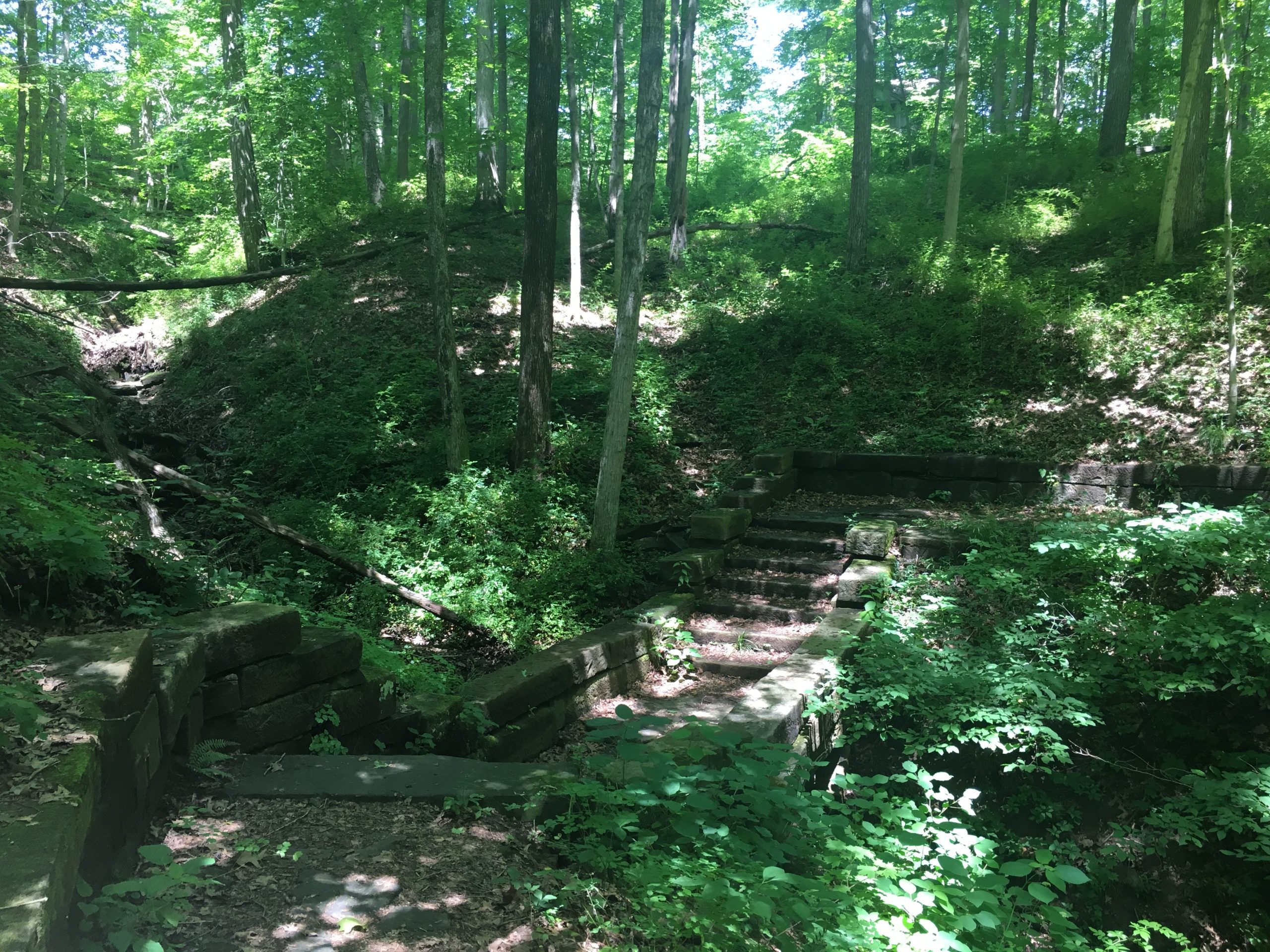 Brown County State Park Firewood