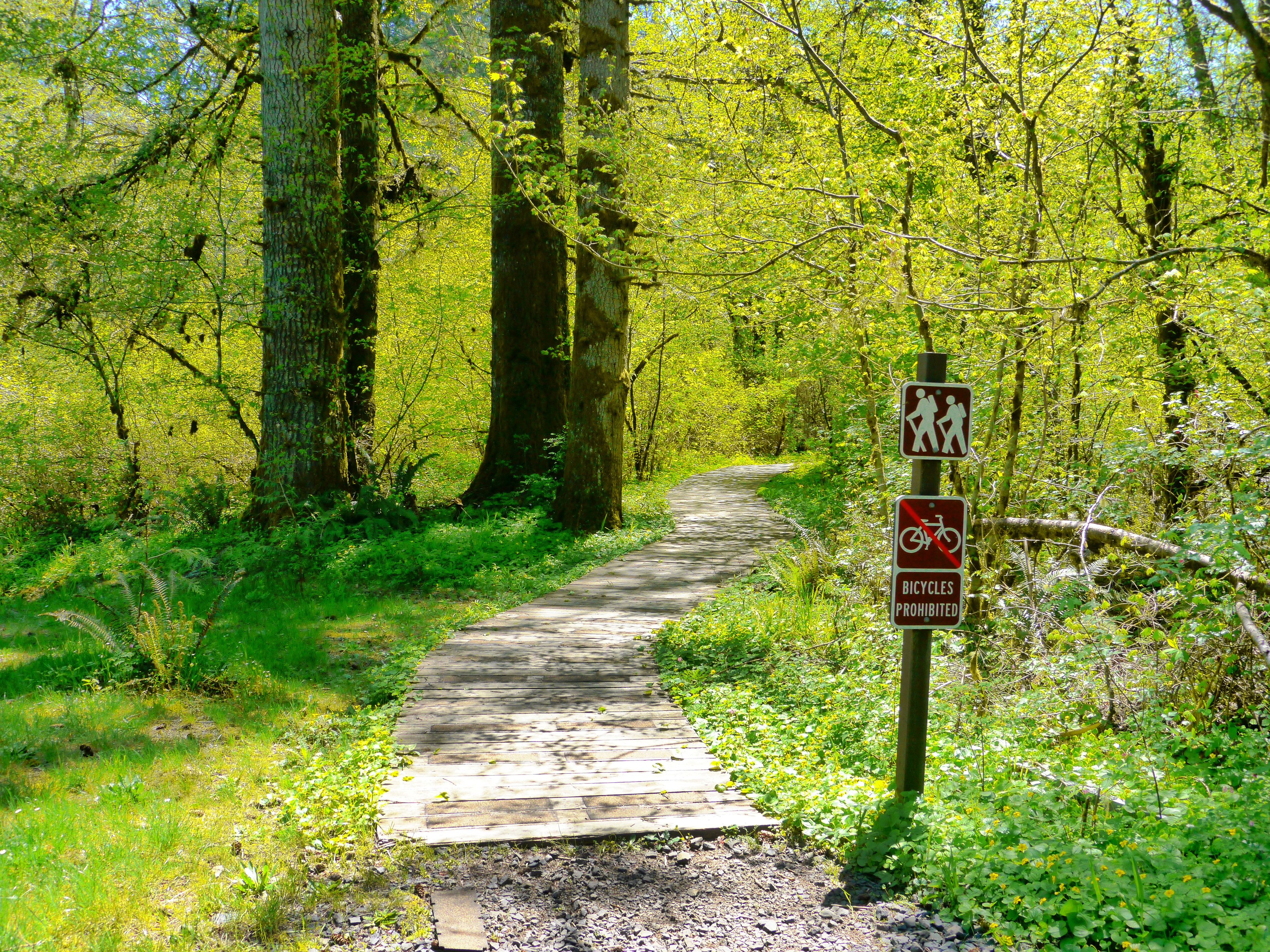 Silver Falls State Park in August