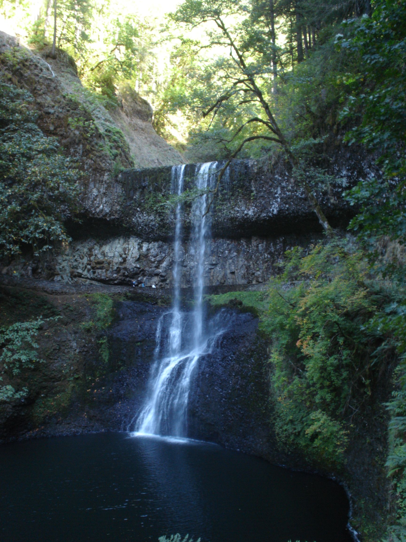 Silver Falls State Park Current Conditions