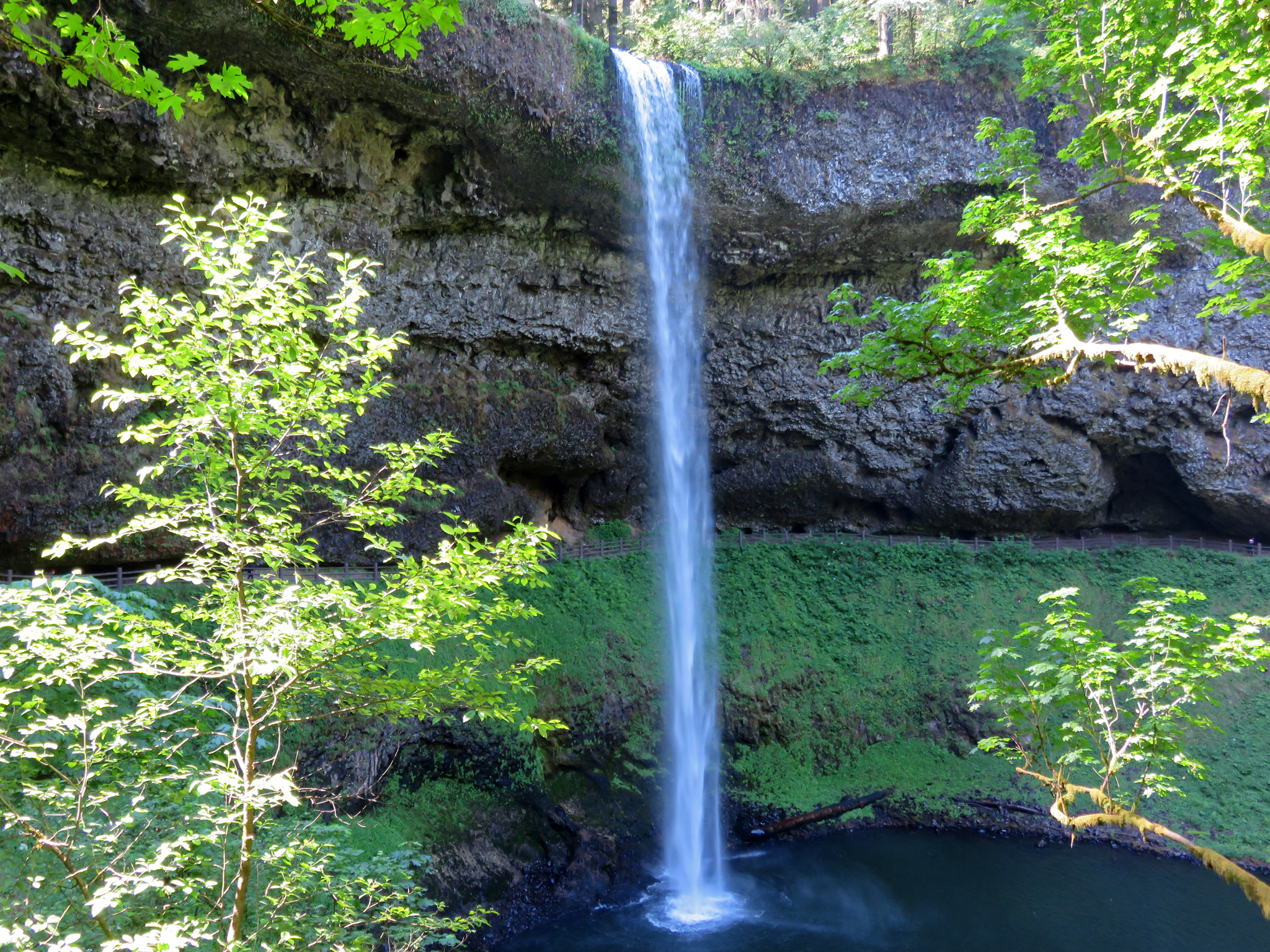 Silver Falls State Park Race