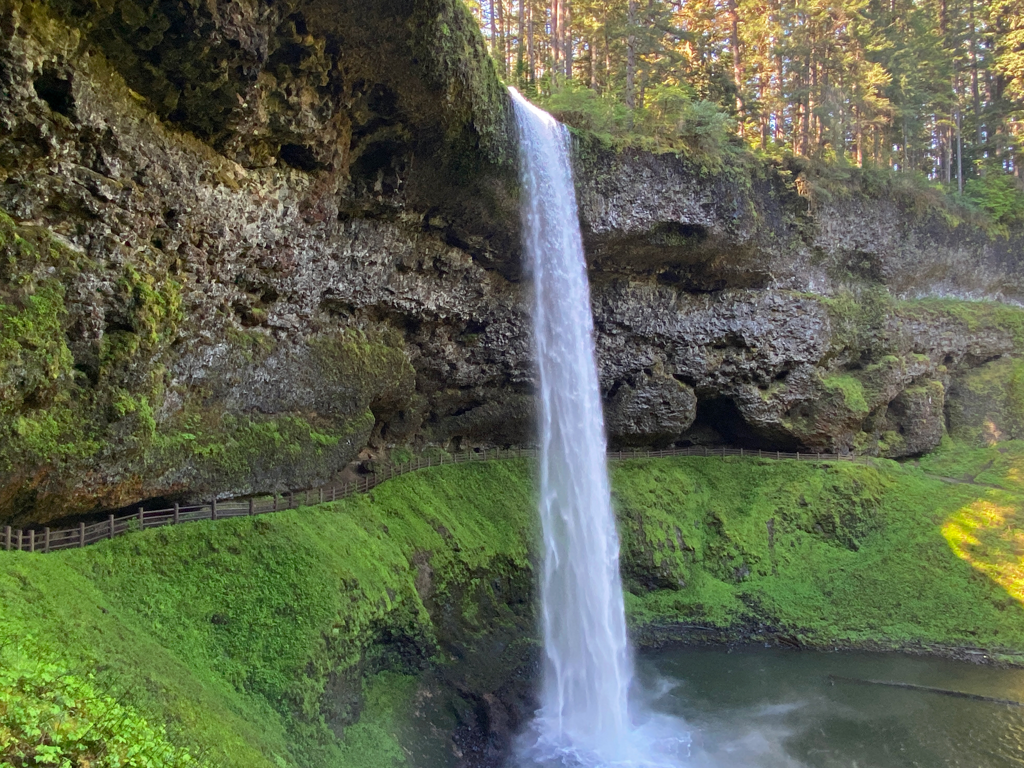 Campground Hours at Silver Falls State Par