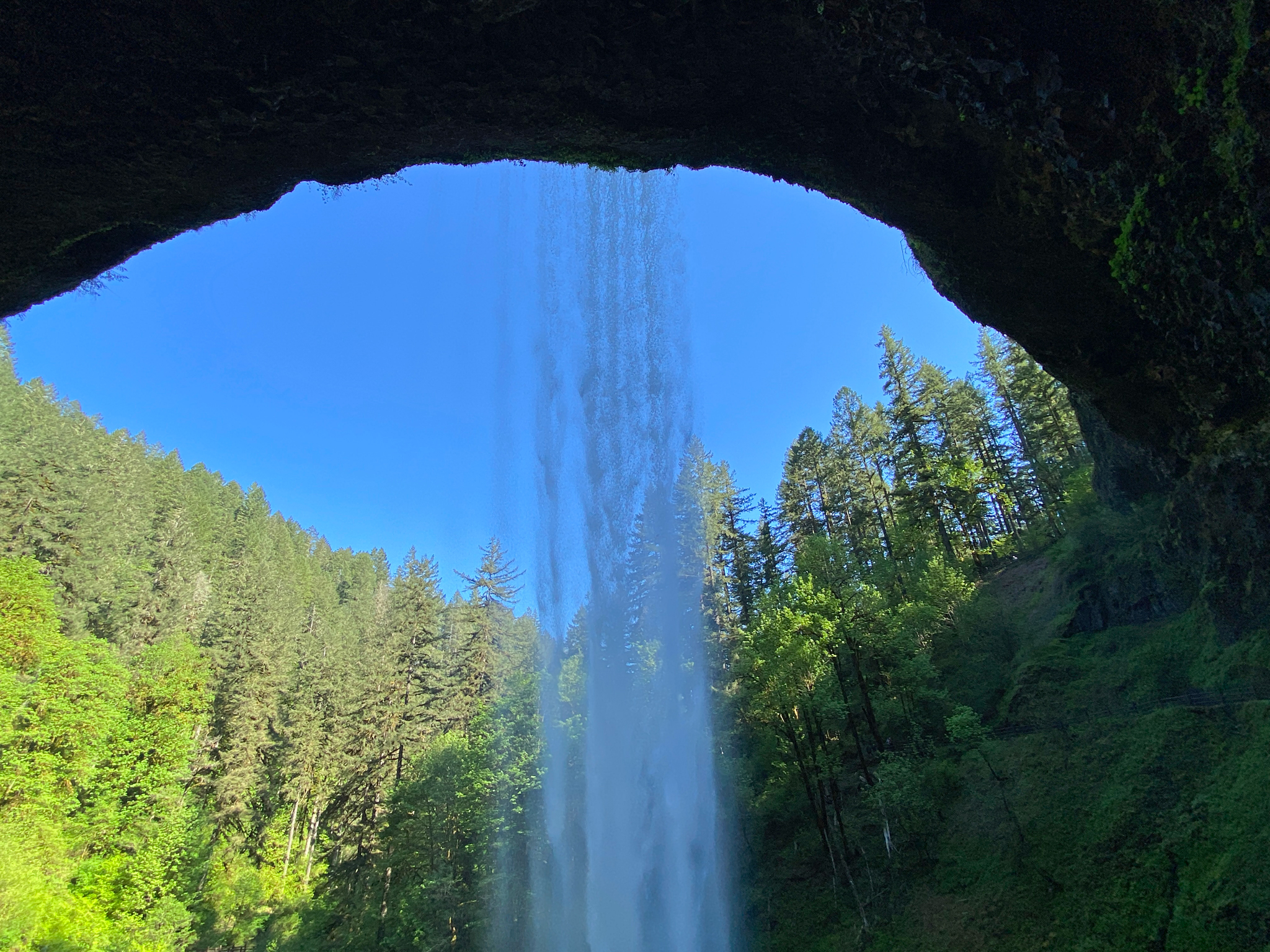 Silver Falls State Park Wedding