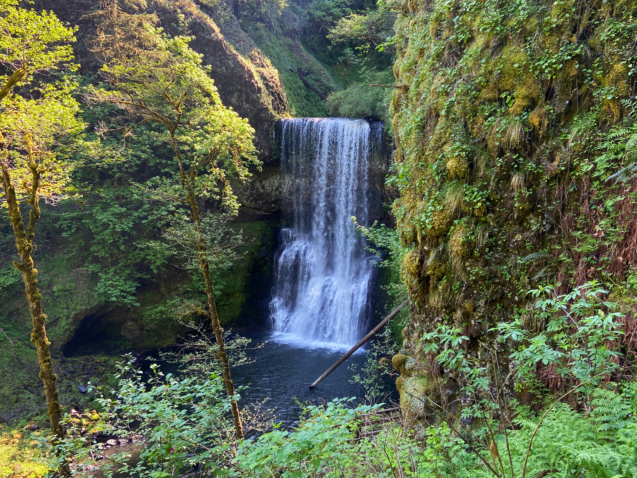 Silver Falls State Park to Crater Lake