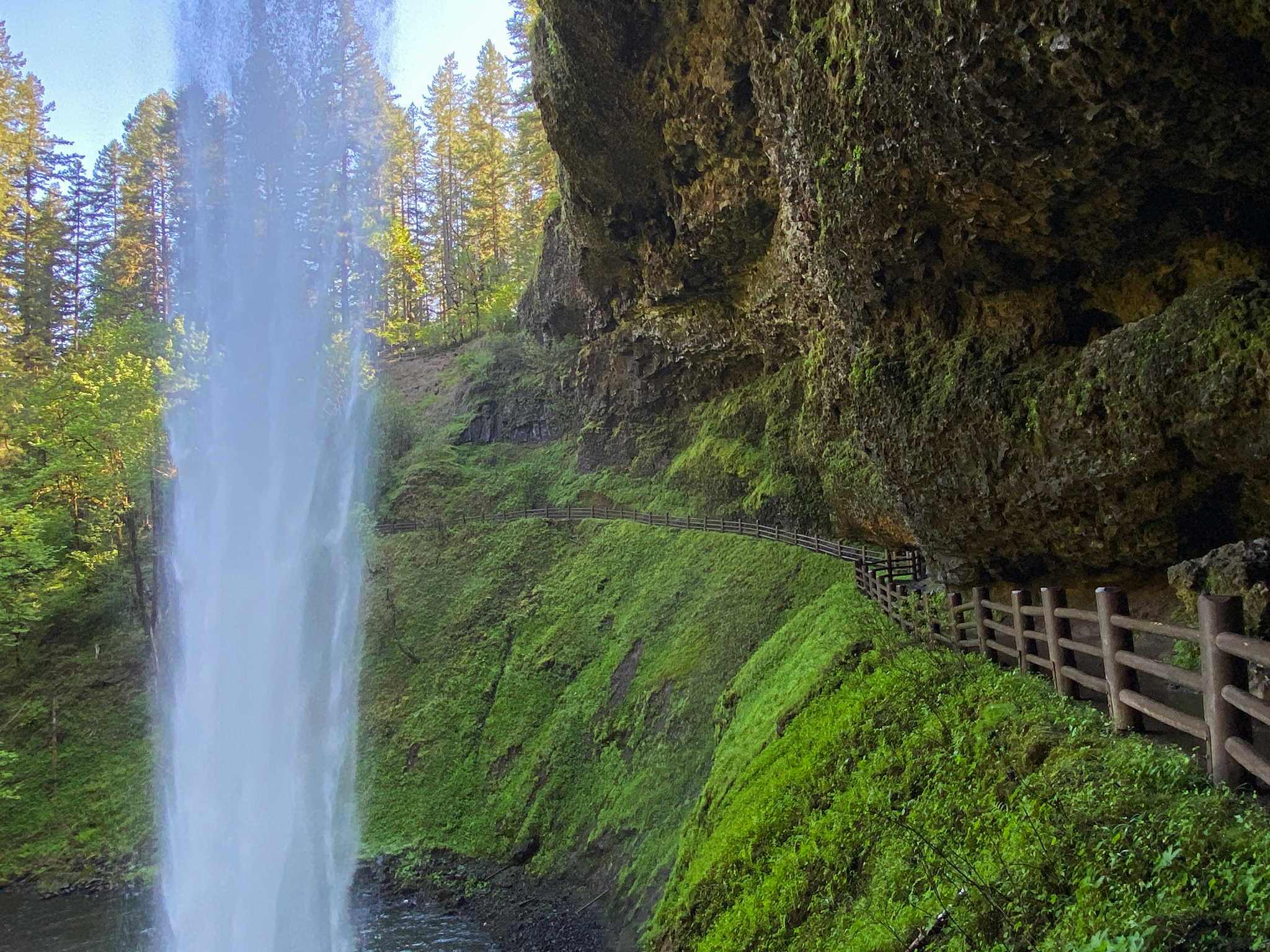 Silver Falls State Park in April