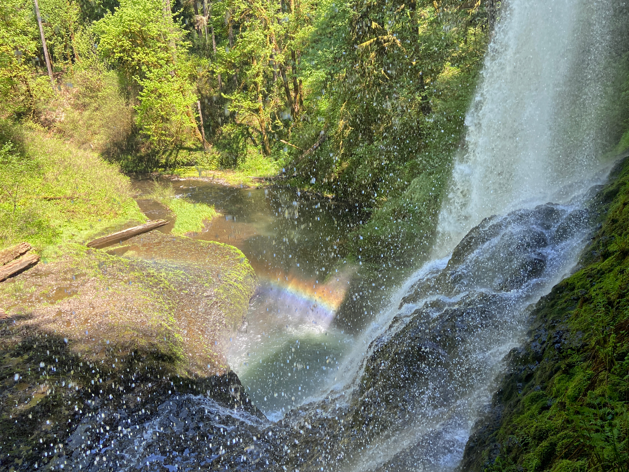 Silver Falls State Park Ranger Station