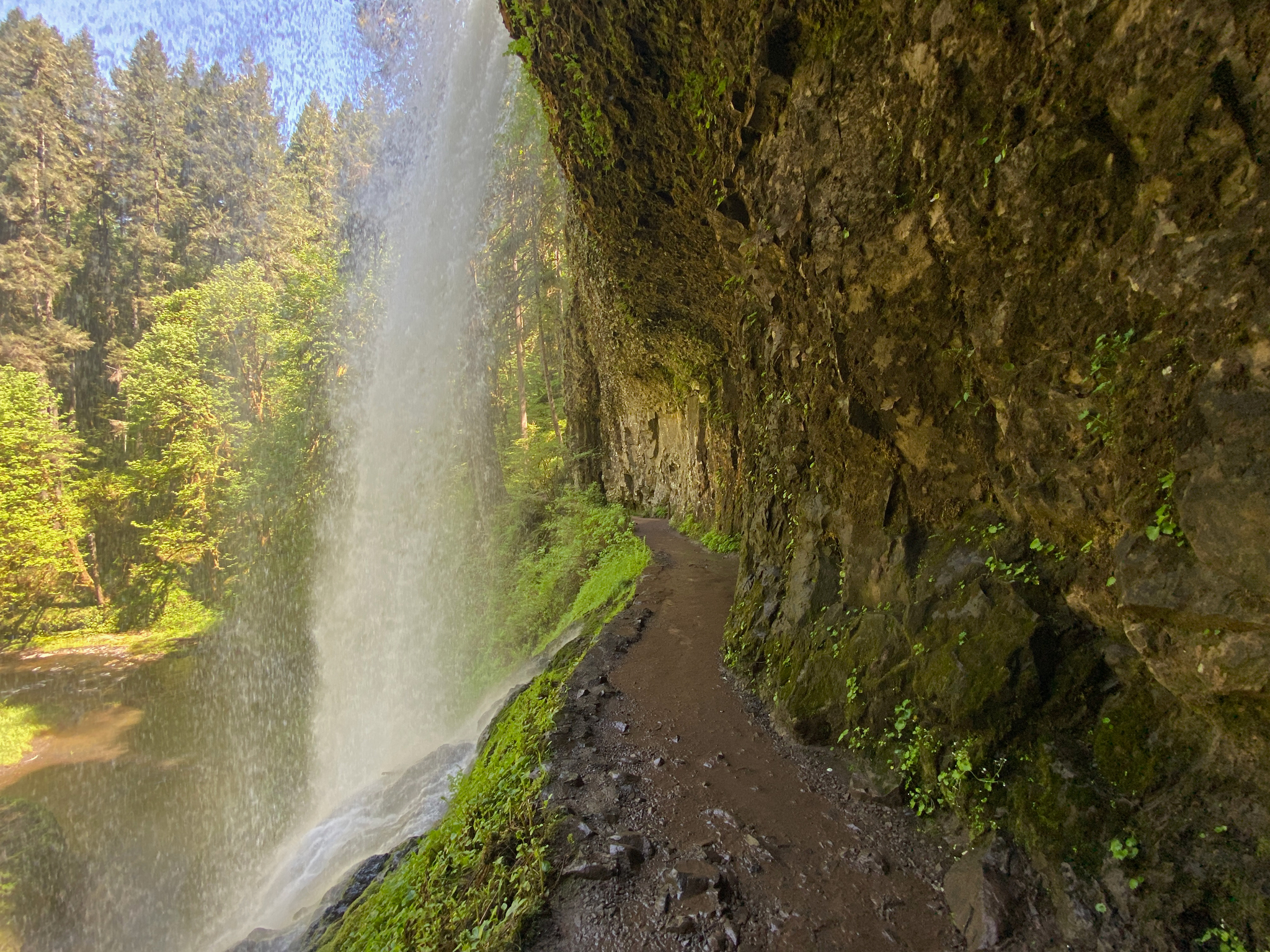 Silver Falls State Park Fall Colors