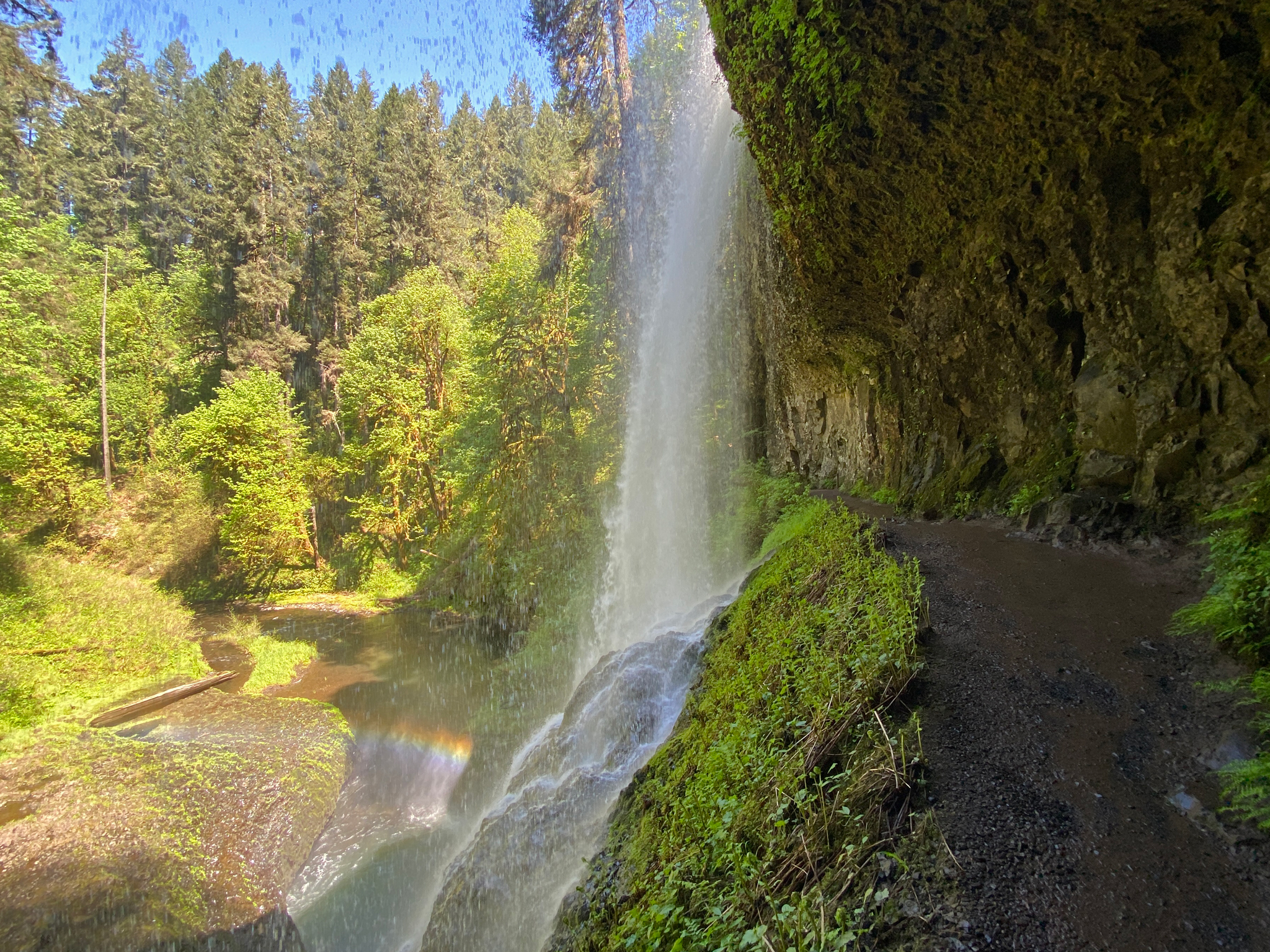 Is Silver Falls State Park Worth Visiting