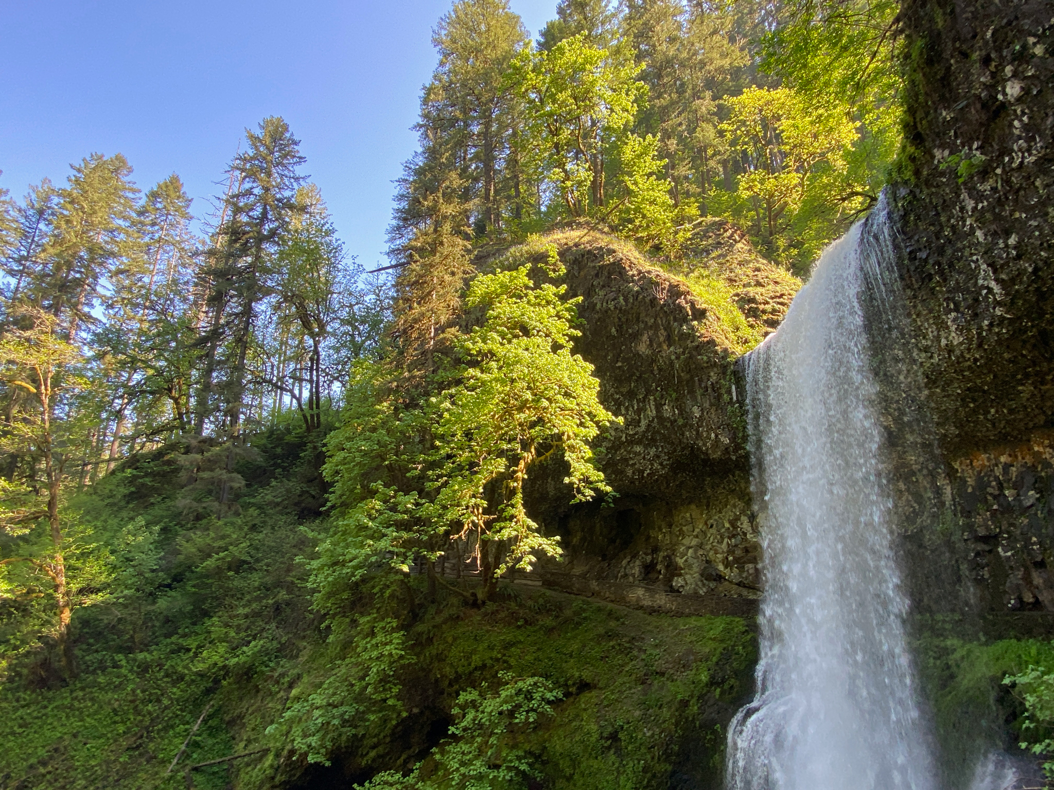 Silver Falls State Park to Multnomah Falls