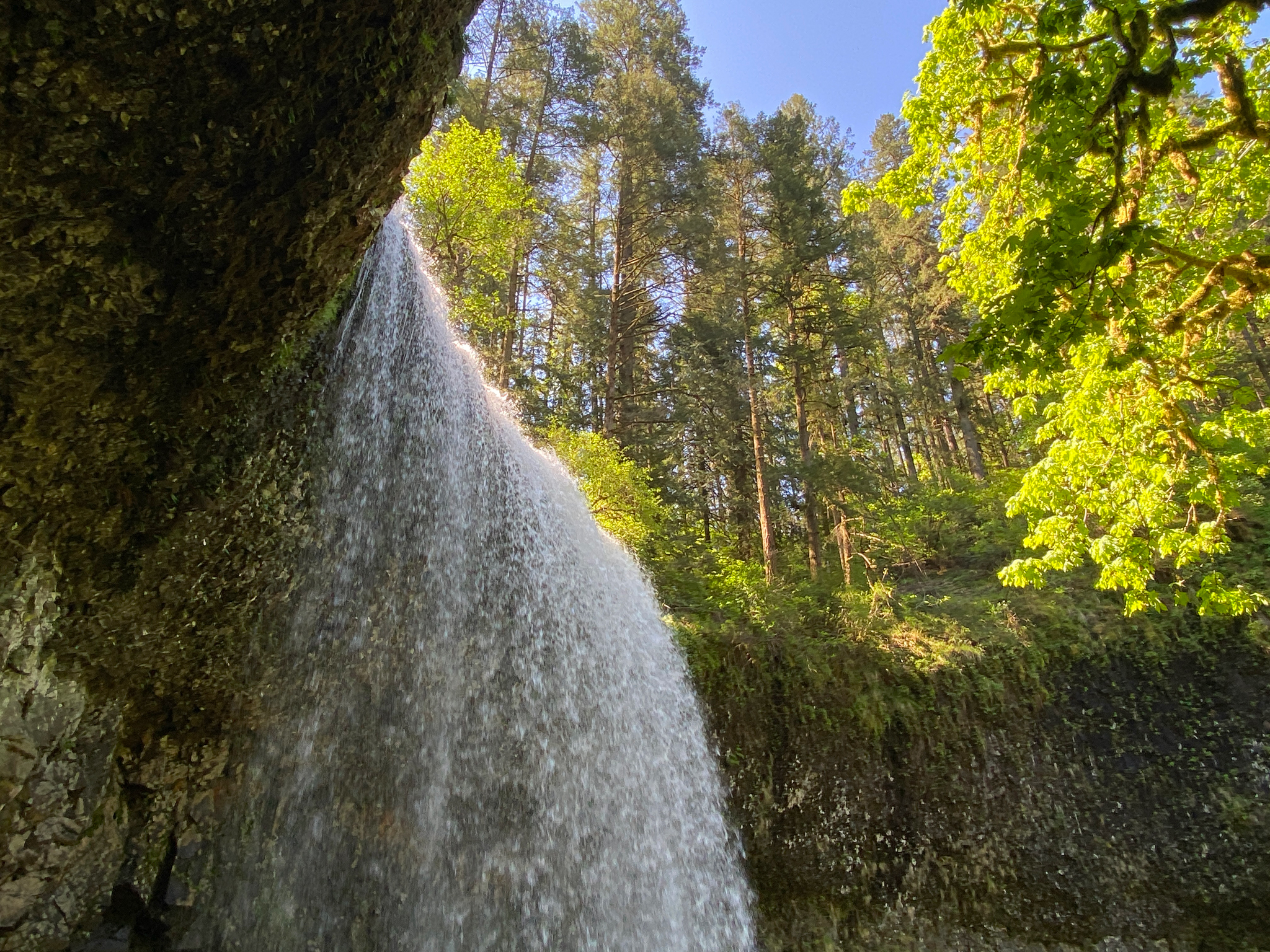 Silver Falls State Park in January