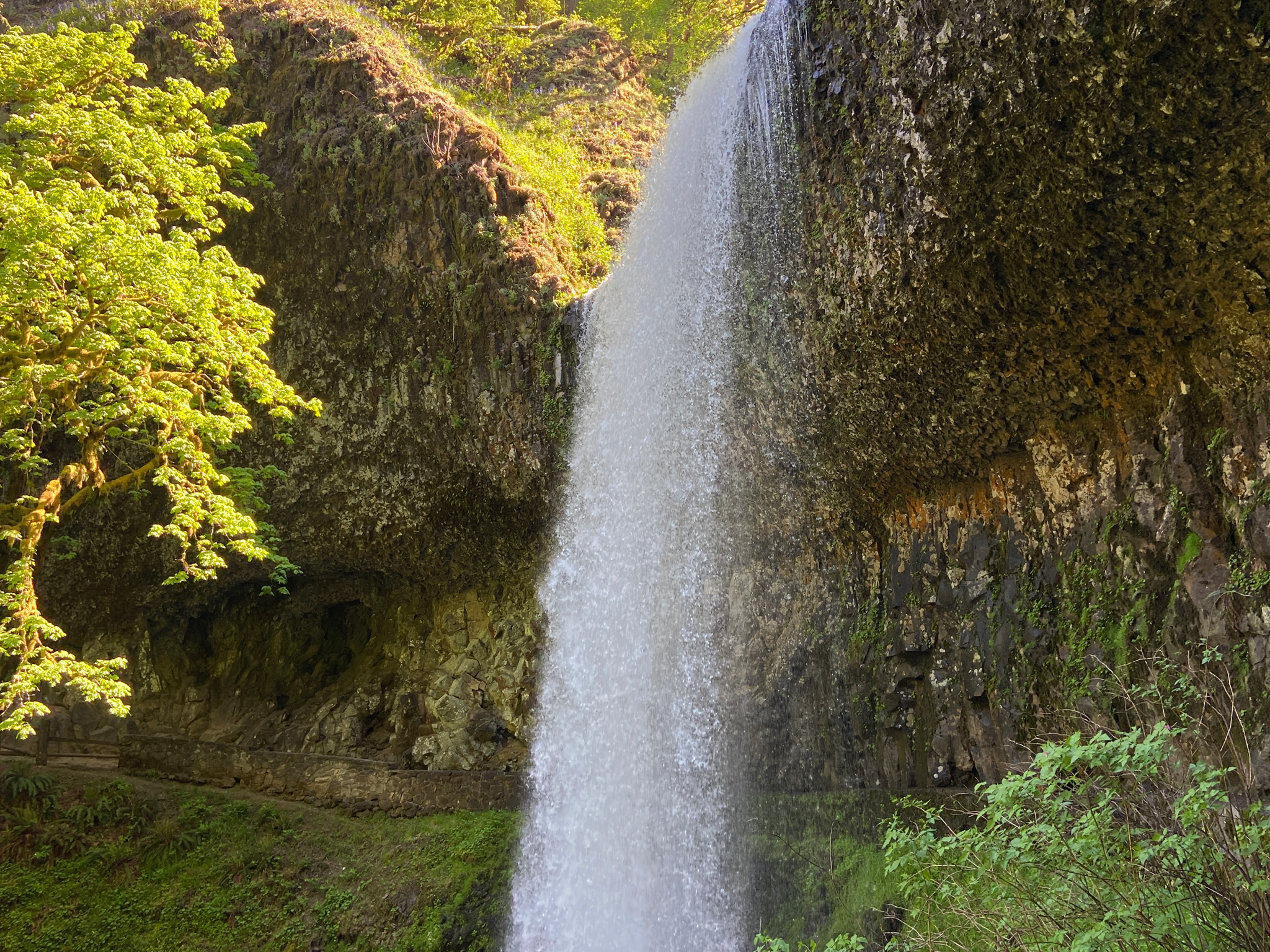 Restaurants Near Silver Falls State Park Oregon