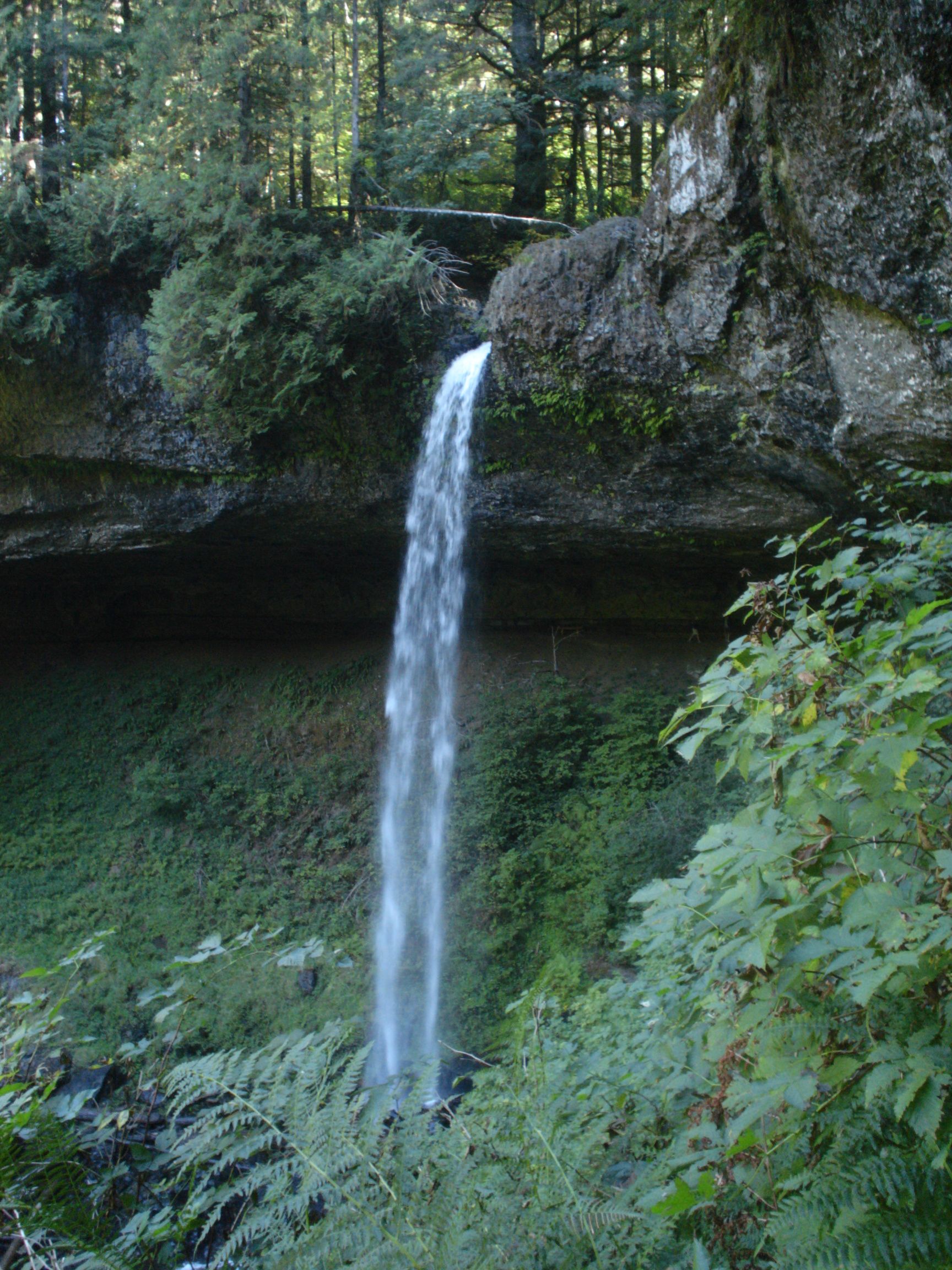 Silver Falls State Park Short Hikes