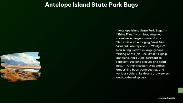 Antelope Island State Park Bugs