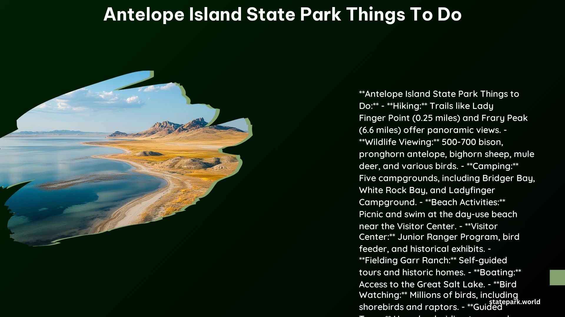 Antelope Island State Park Things to Do