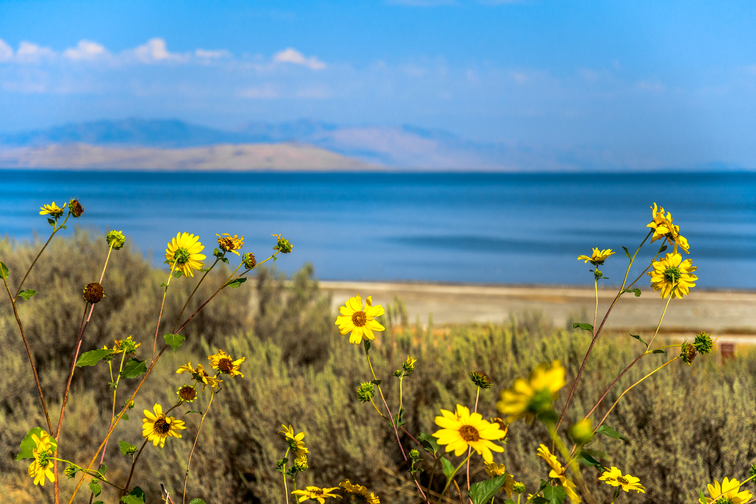 Antelope Island State Park Drive Through