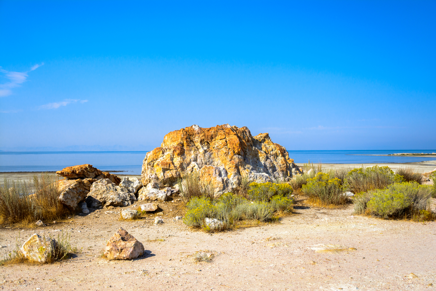 Antelope Island State Park Food