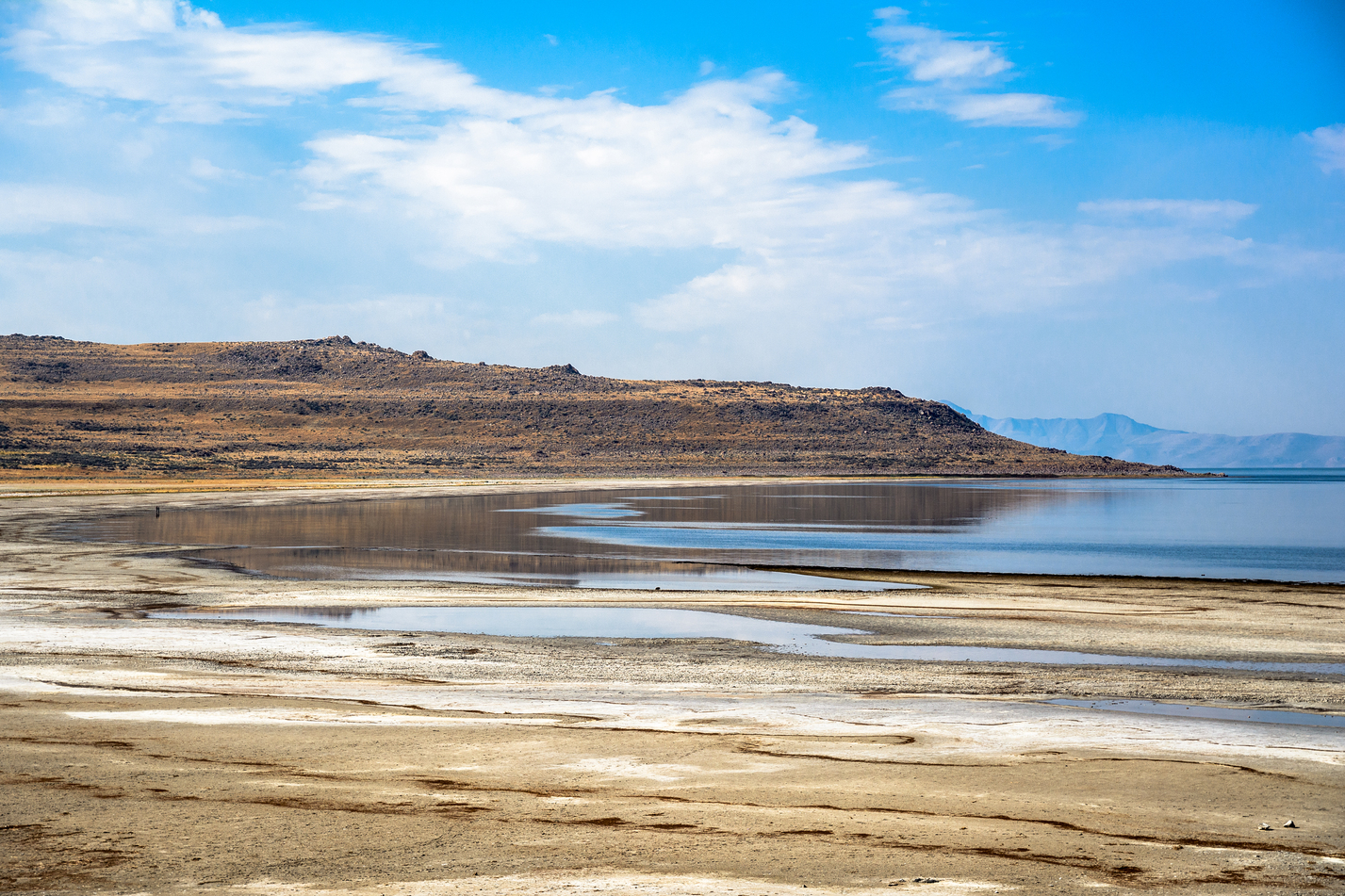 Antelope Island State Park Bison Roundup