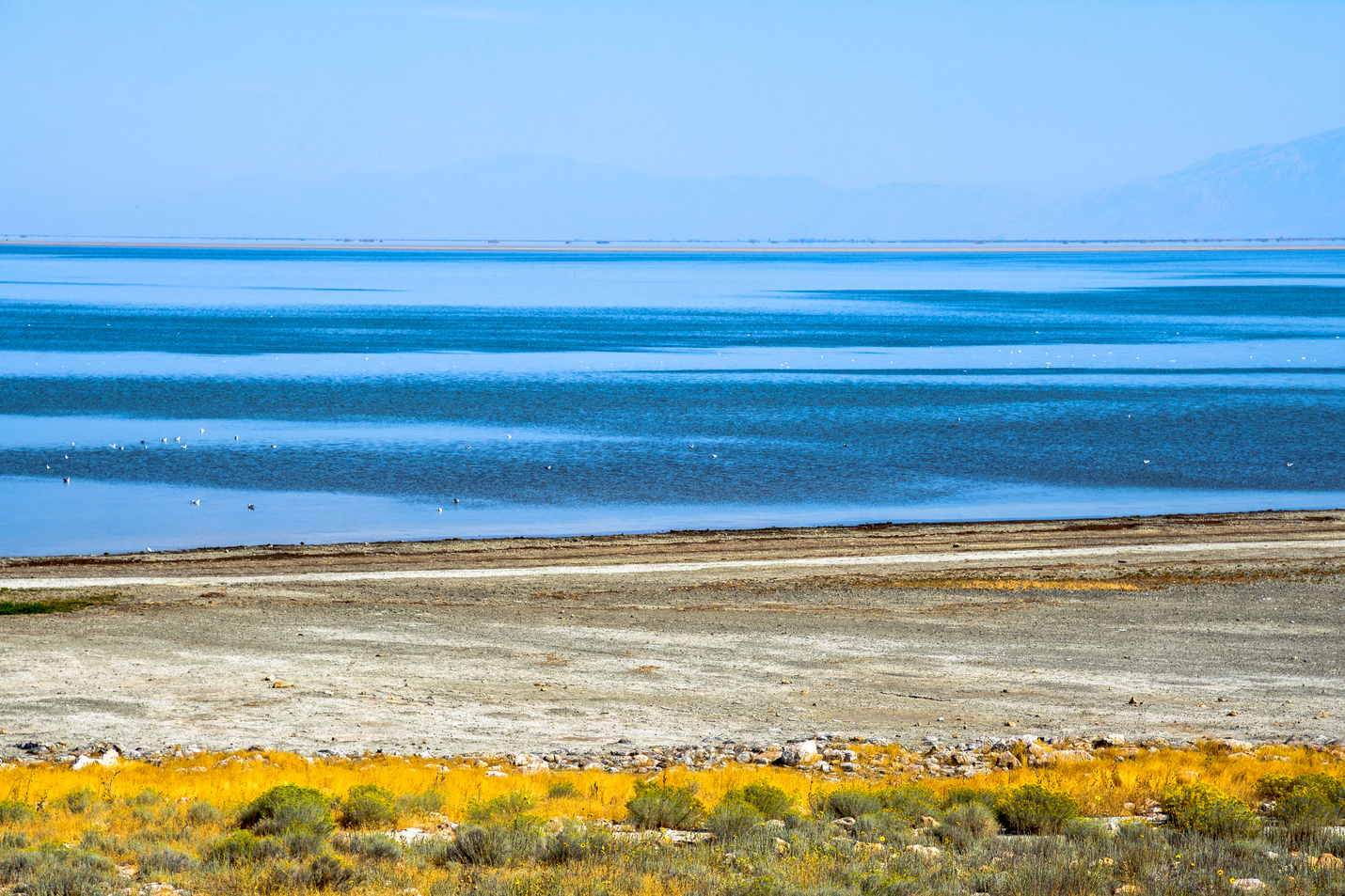 Antelope Island State Park Events