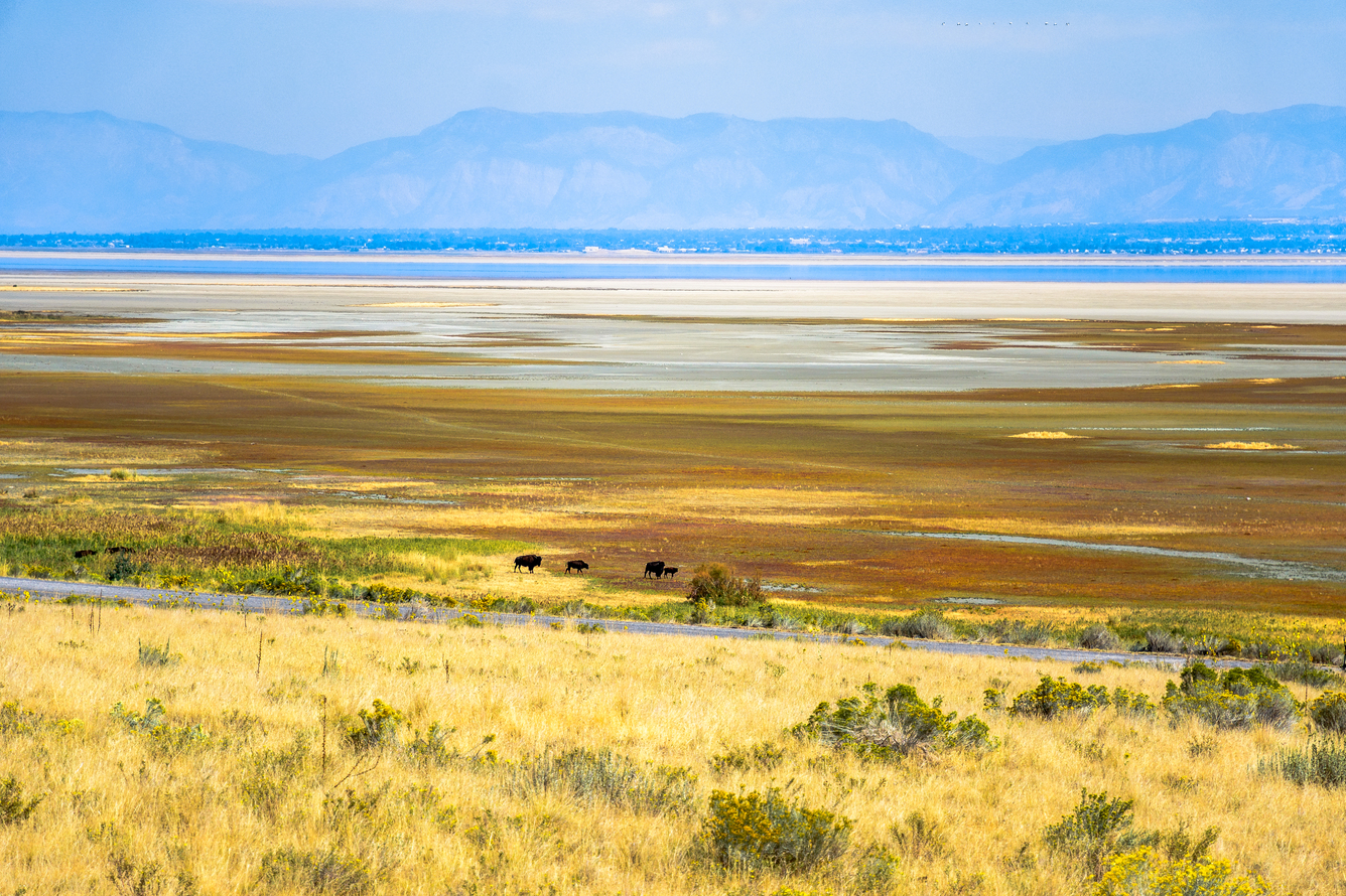 Antelope Island State Park Gift Shop