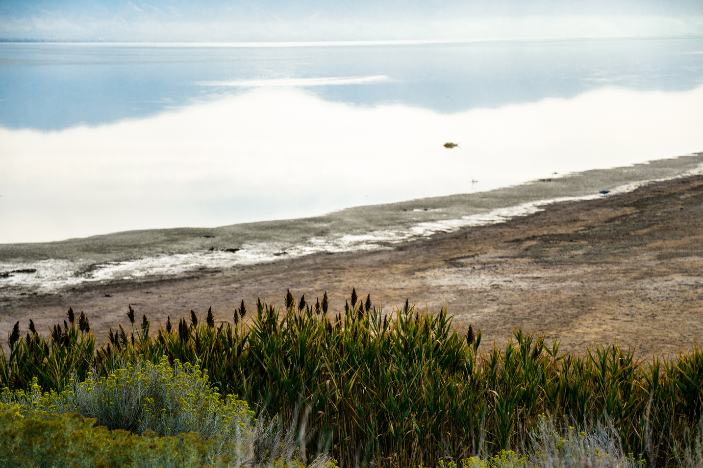 Swimming at Antelope Island State Park