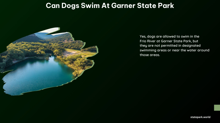 Can Dogs Swim at Garner State Park